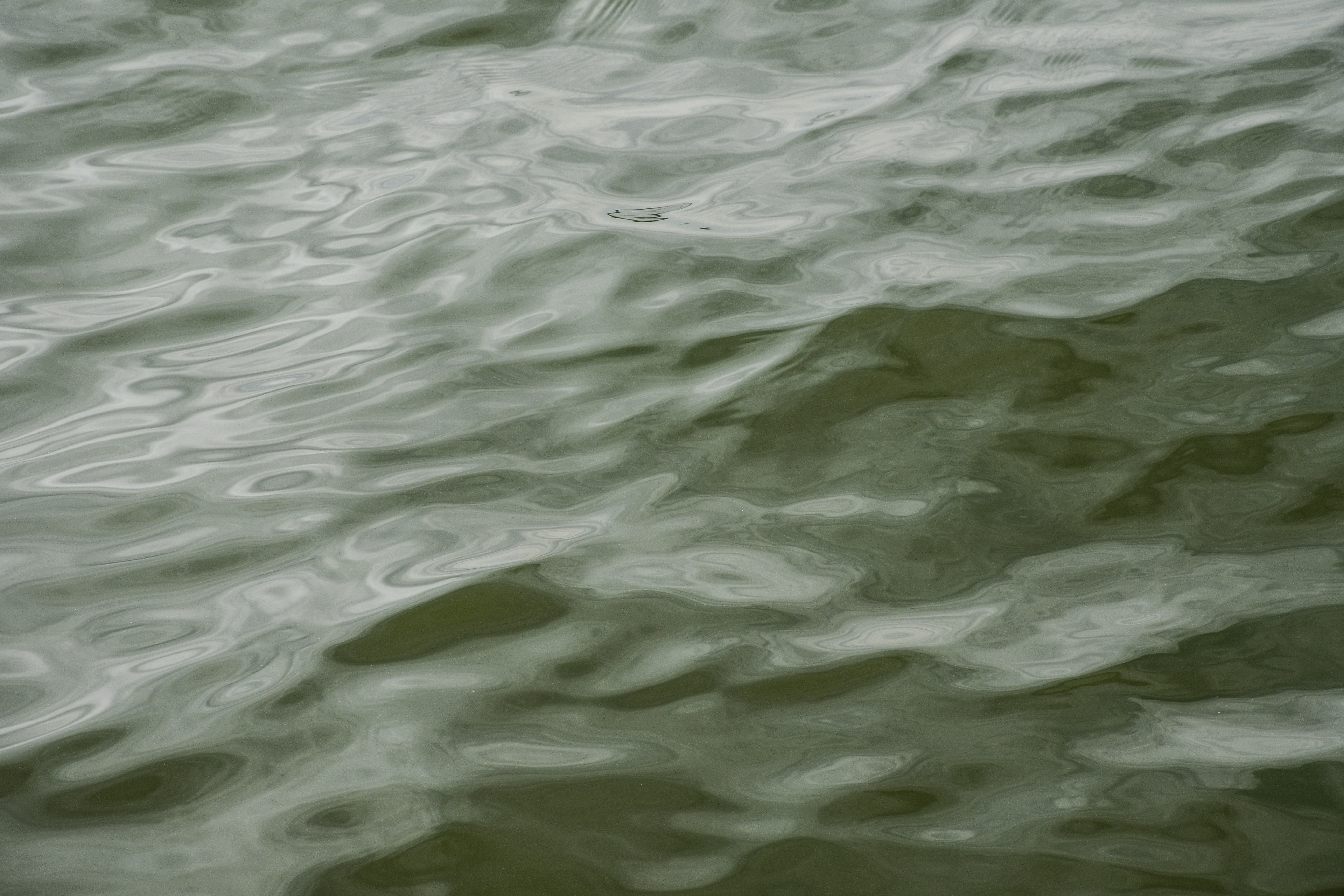 Photo by oskaycaglar