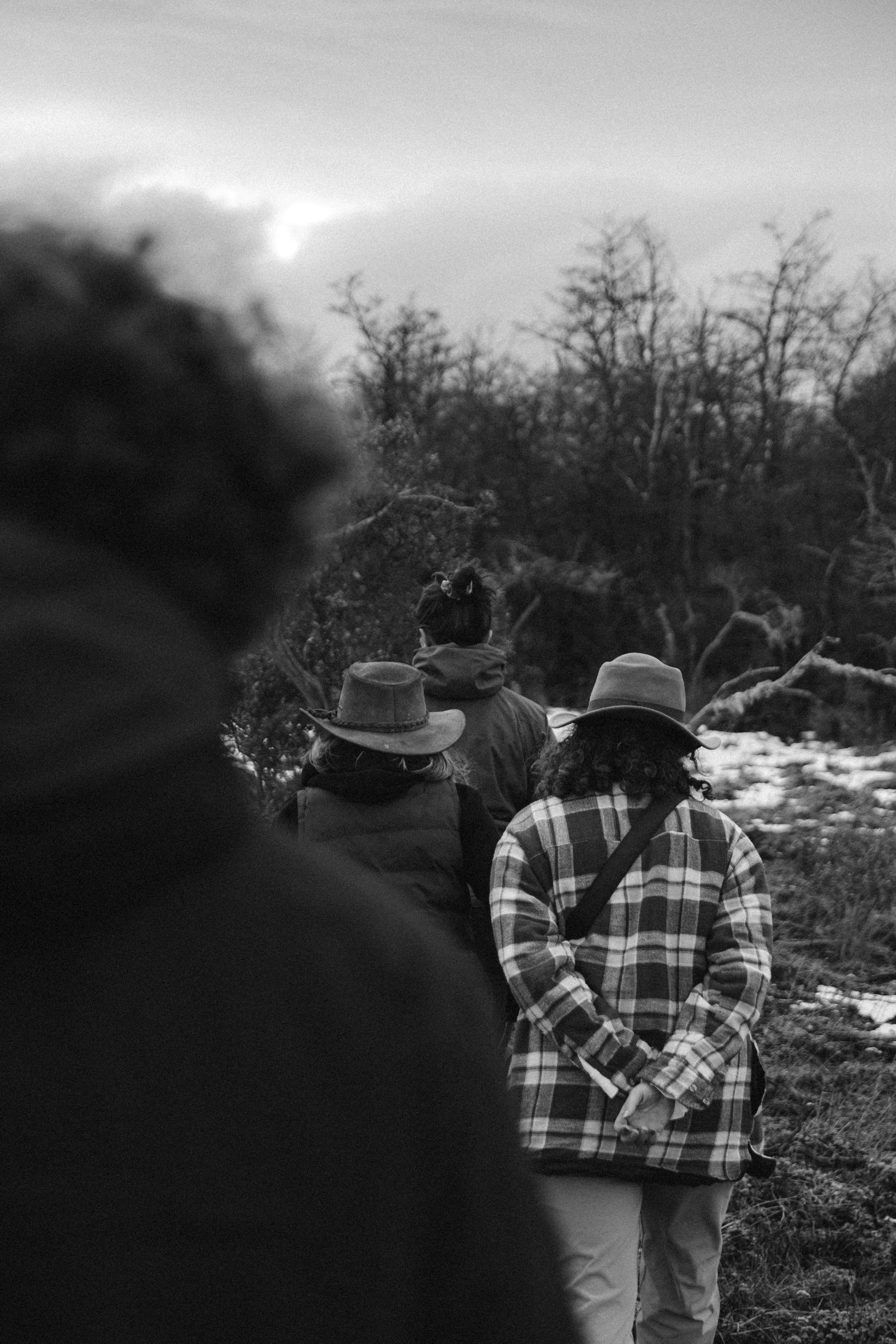 Photo by williamsiann