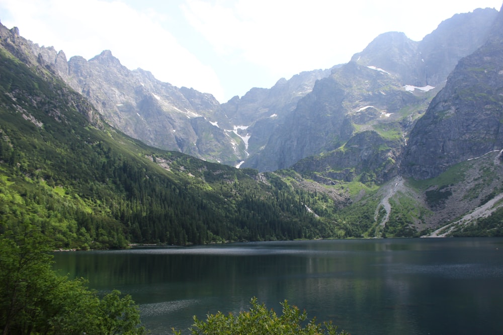 Grüne Bäume auf dem Berg am See tagsüber