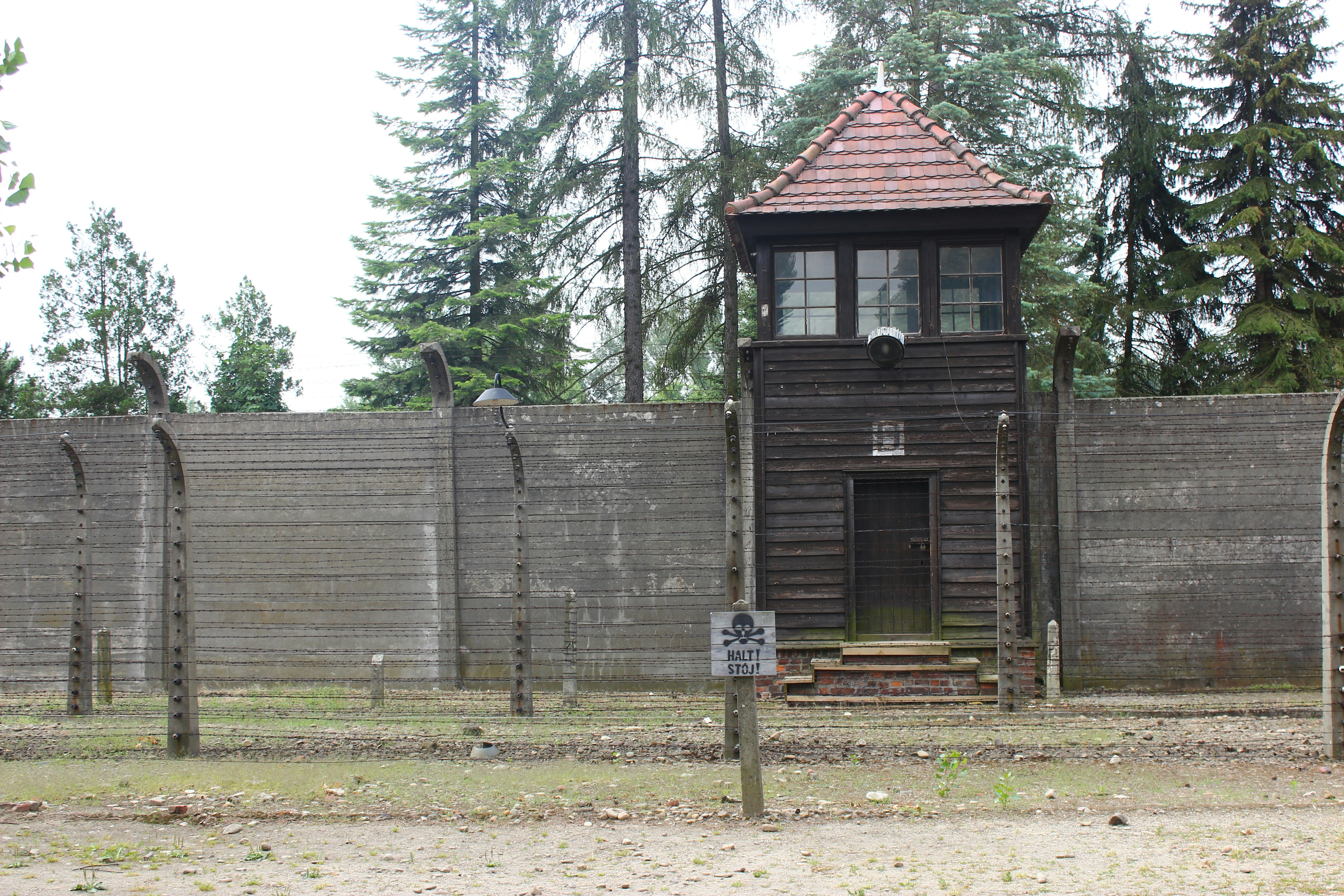 brown wooden house near green trees during daytime