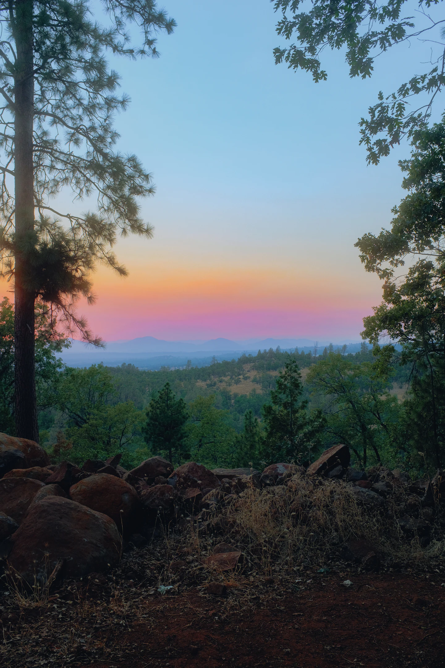 Pink evening light over a wooded valley