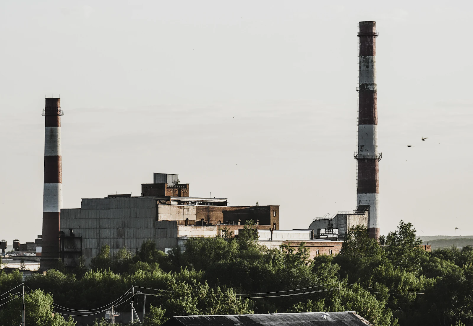 Bâtiment industriel en béton et bardage entouré d'arbres