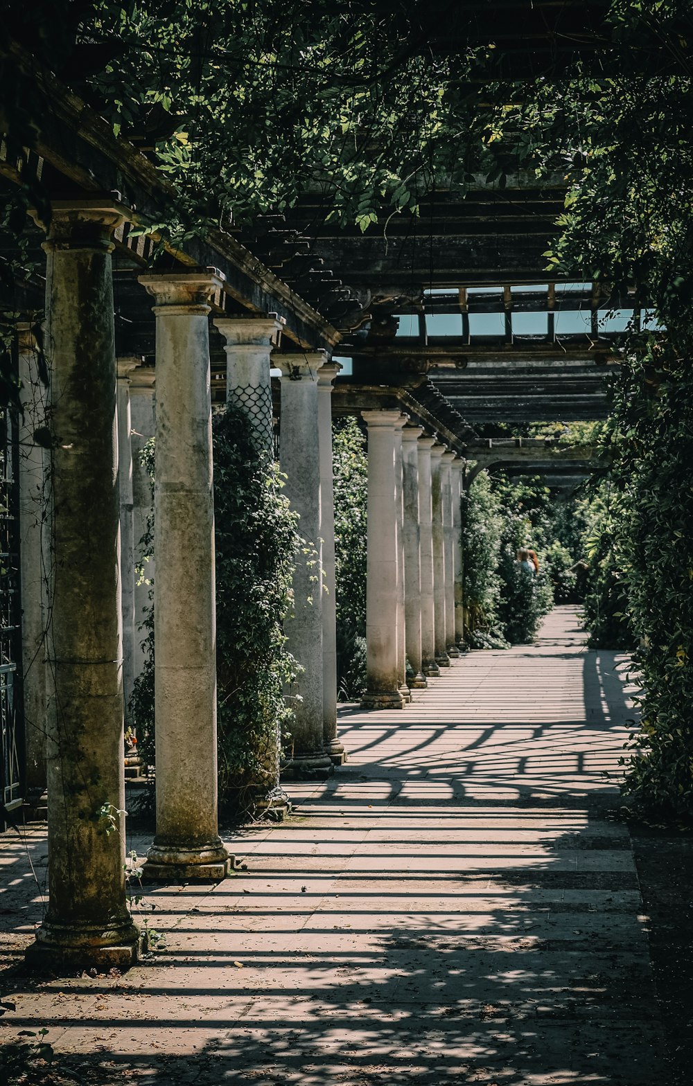 brown wooden pathway between green trees during daytime