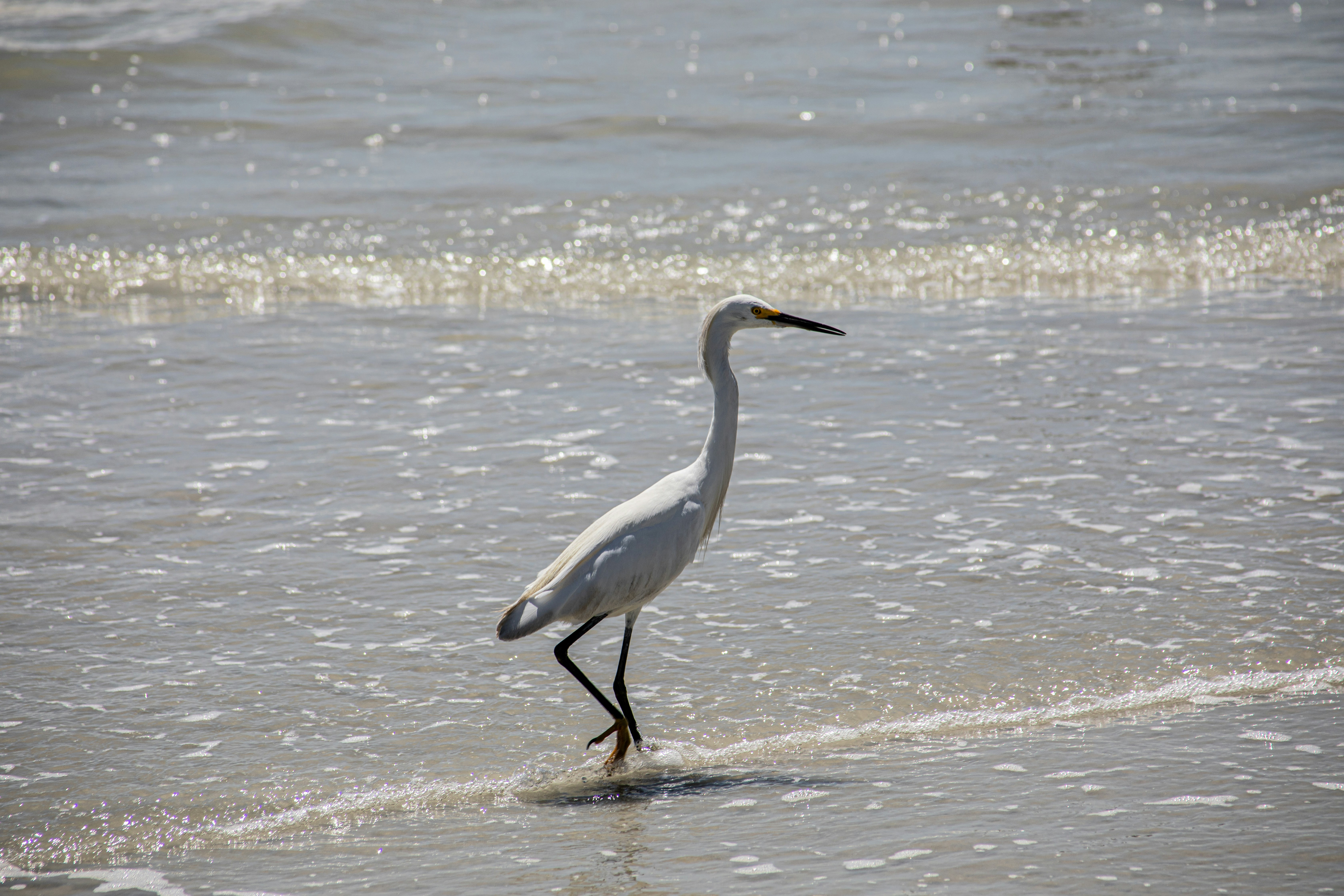 Photo by dpreacherdawn