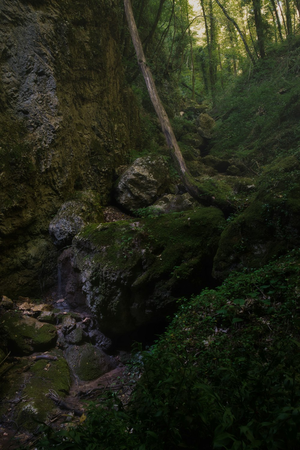 Montagna rocciosa verde e marrone