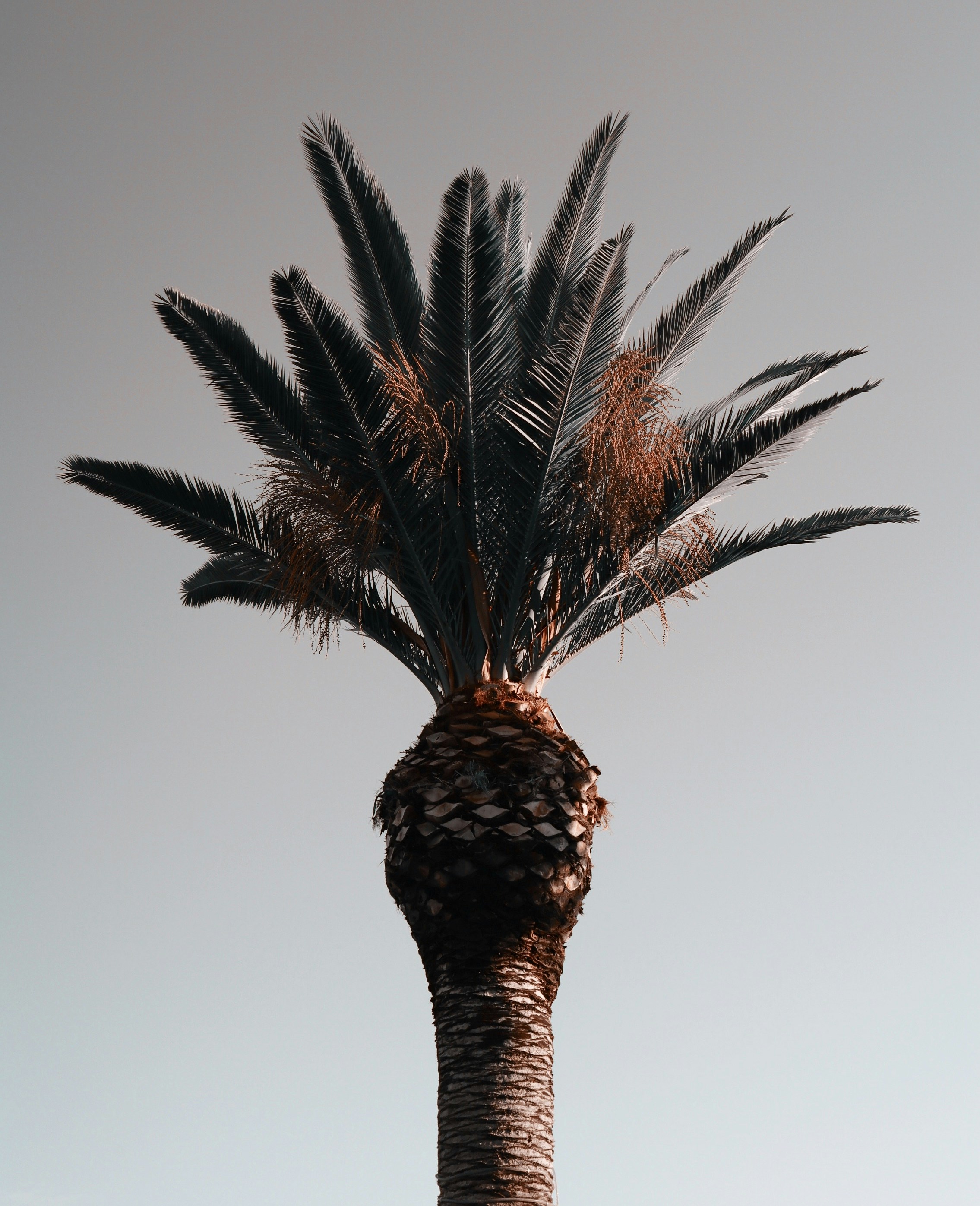 Photo by cpdpls