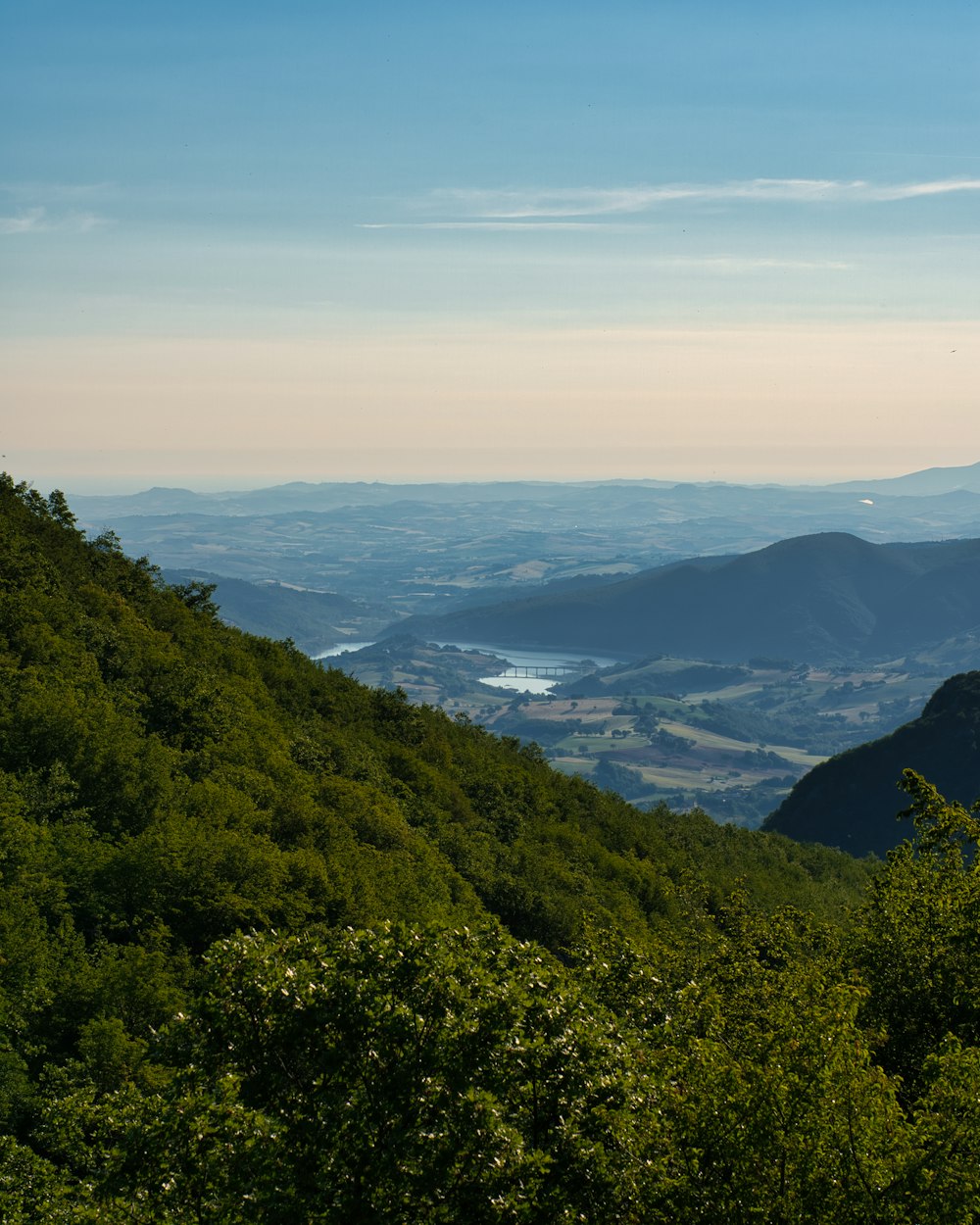 Árvores verdes na montanha durante o dia