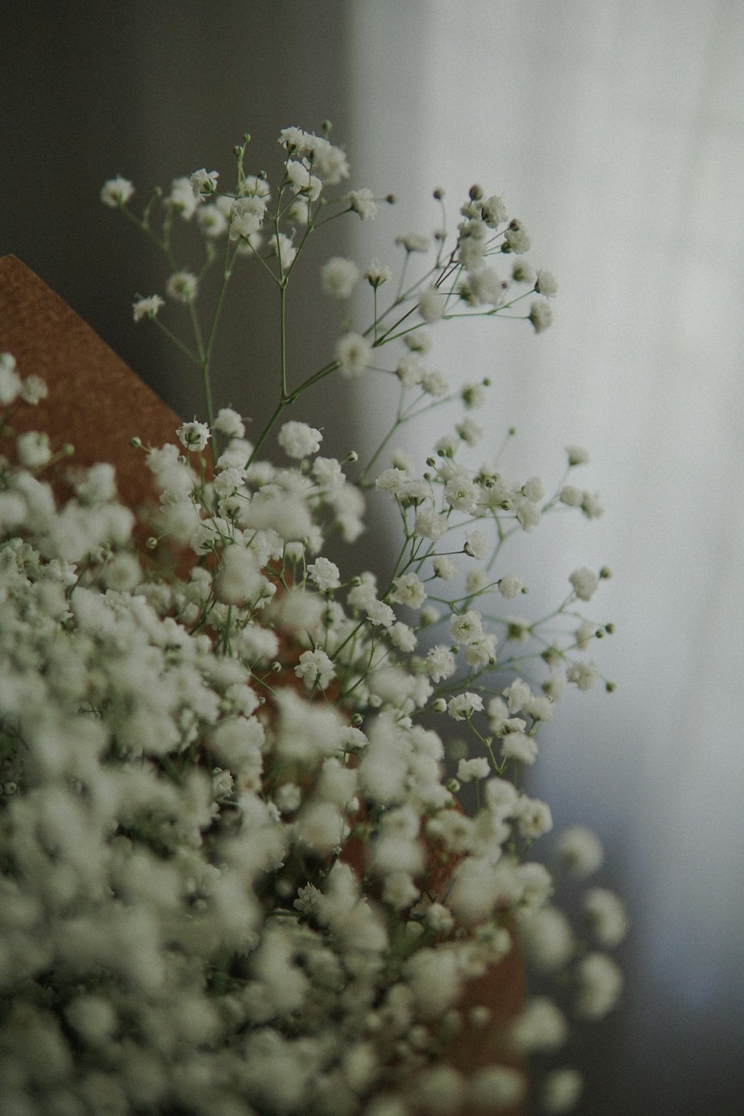 white flowers with green leaves