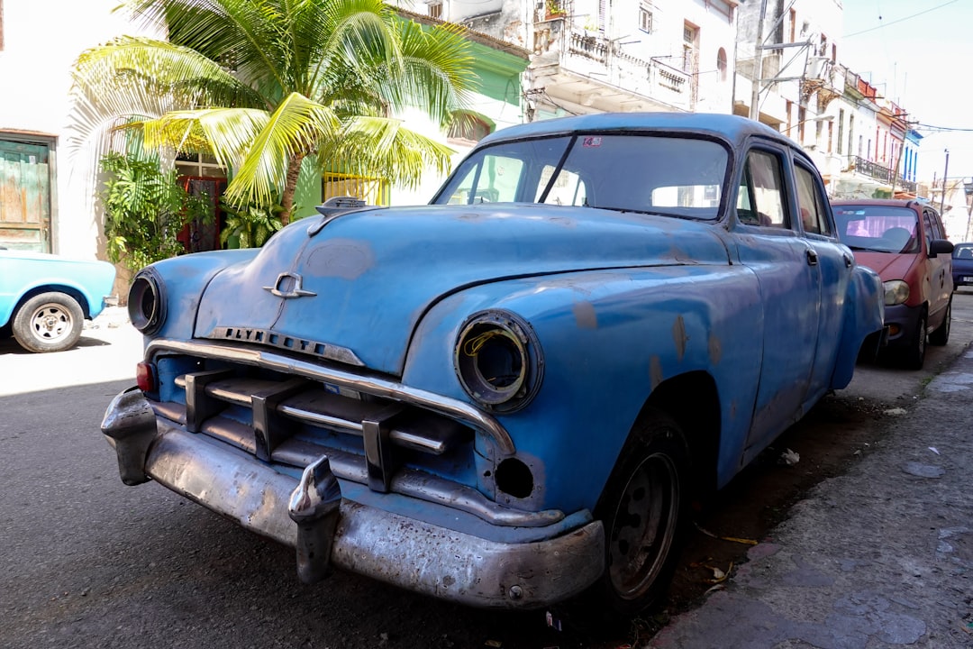 blue vintage car parked beside palm tree during daytime