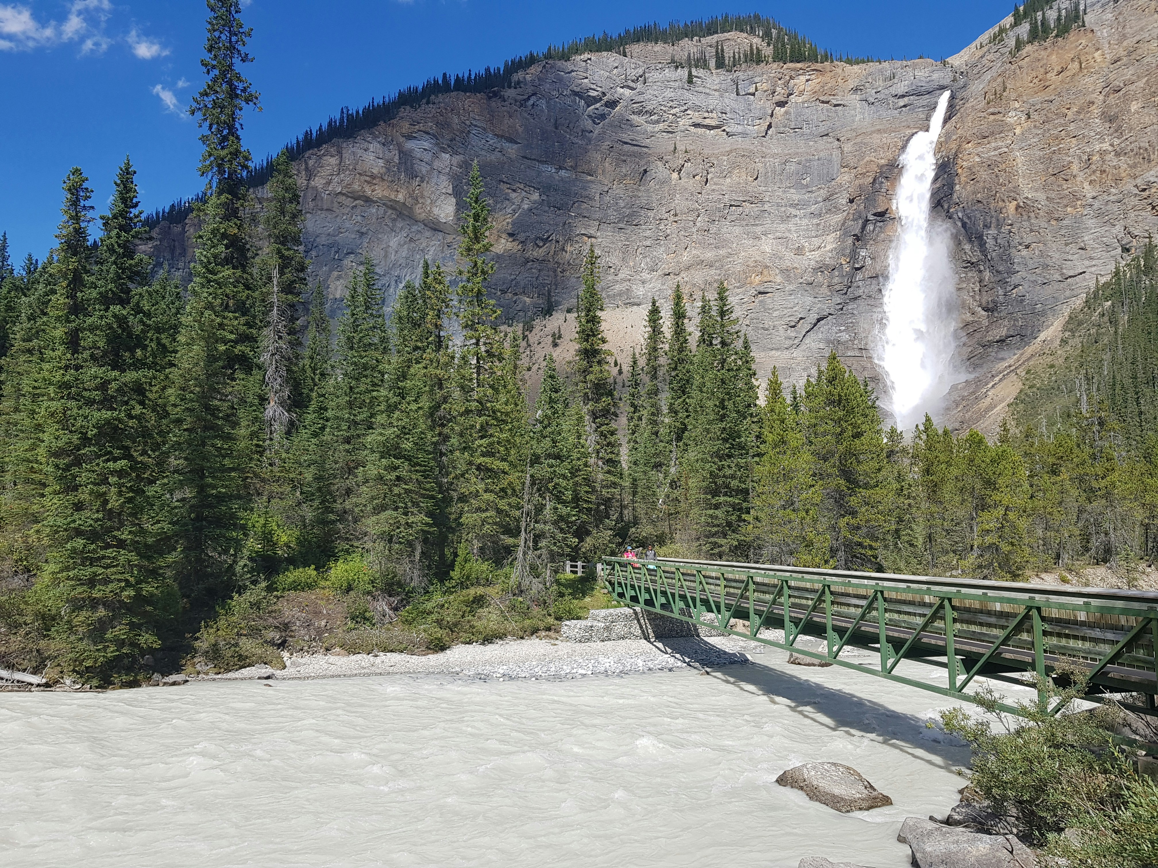 Green pine trees near water falls during daytime photo – Free British ...