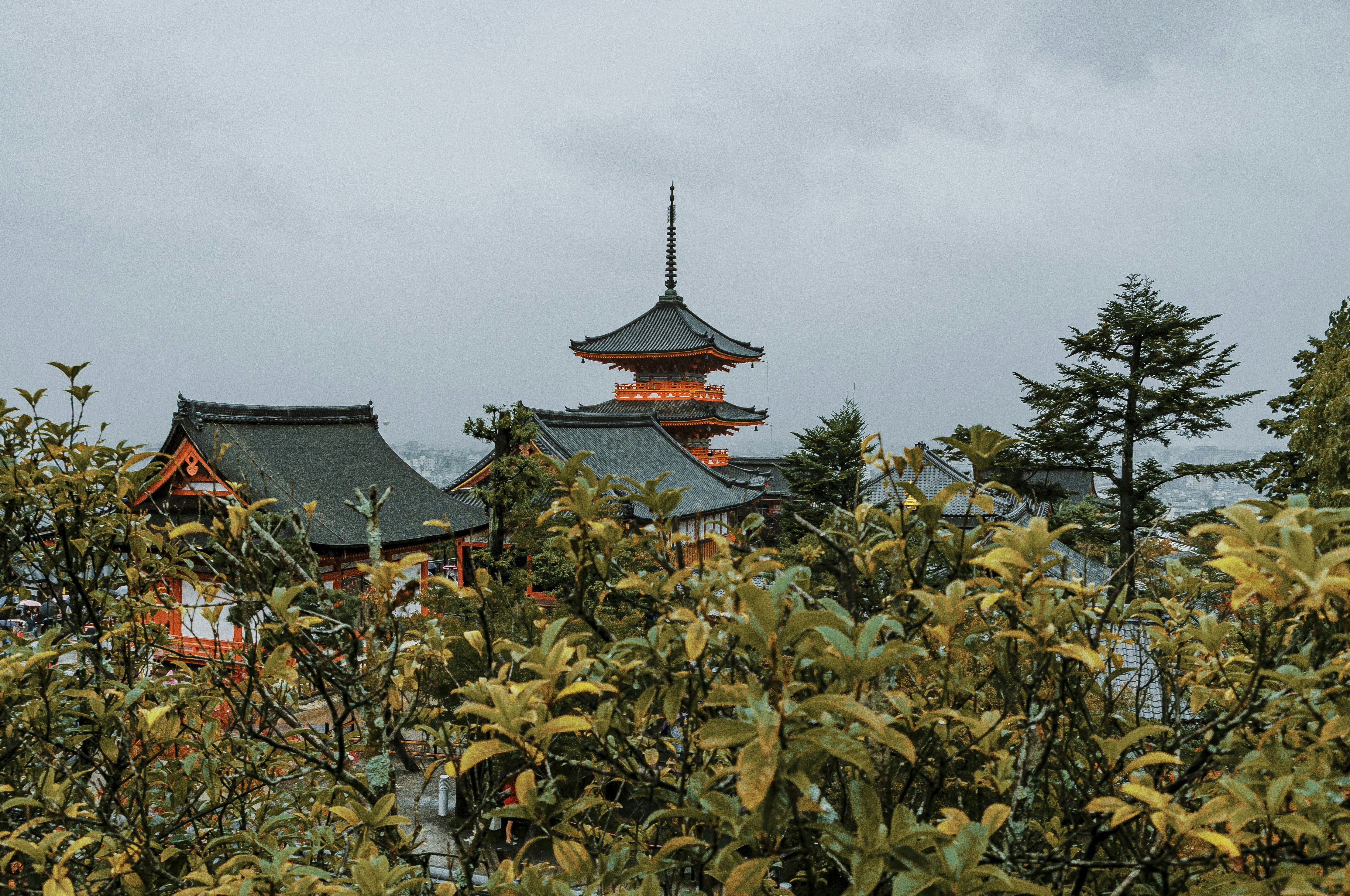 Photo by rhweht