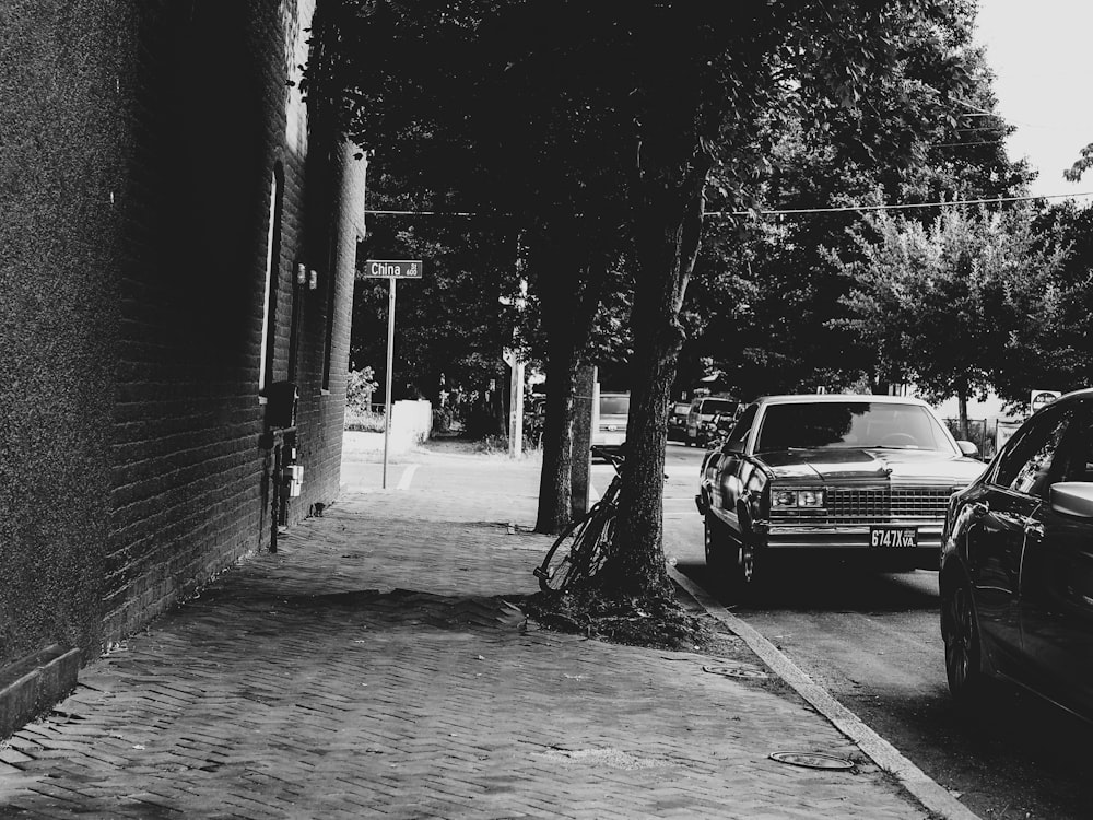 grayscale photo of car parked beside tree