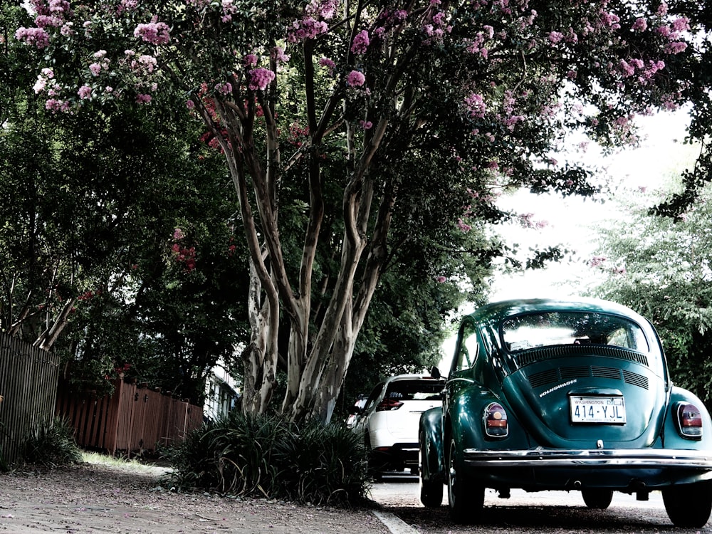 blue car parked beside brown wooden fence