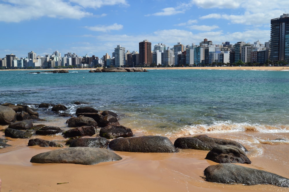 city skyline across the sea during daytime