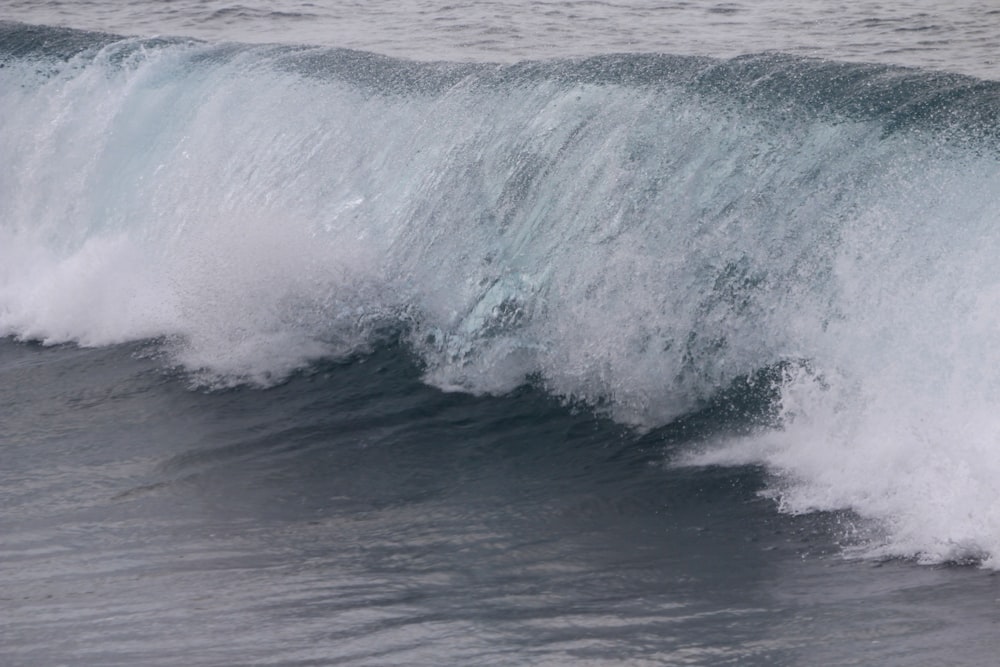 Les vagues de l’océan s’écrasent sur le rivage pendant la journée