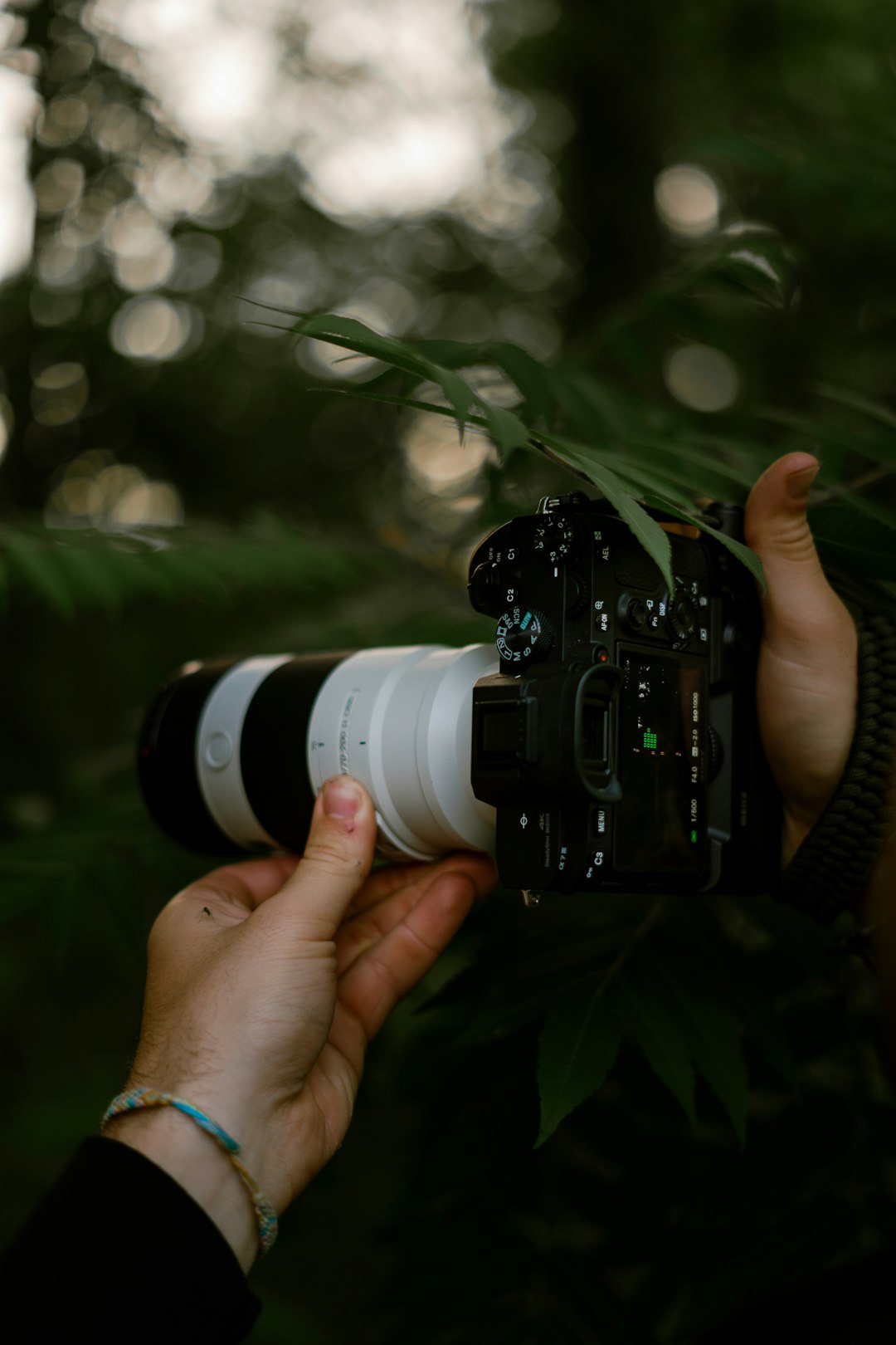 person holding black and white dslr camera