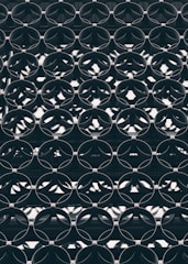 black metal fence with black metal frame