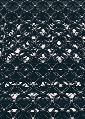 black metal fence with black metal frame