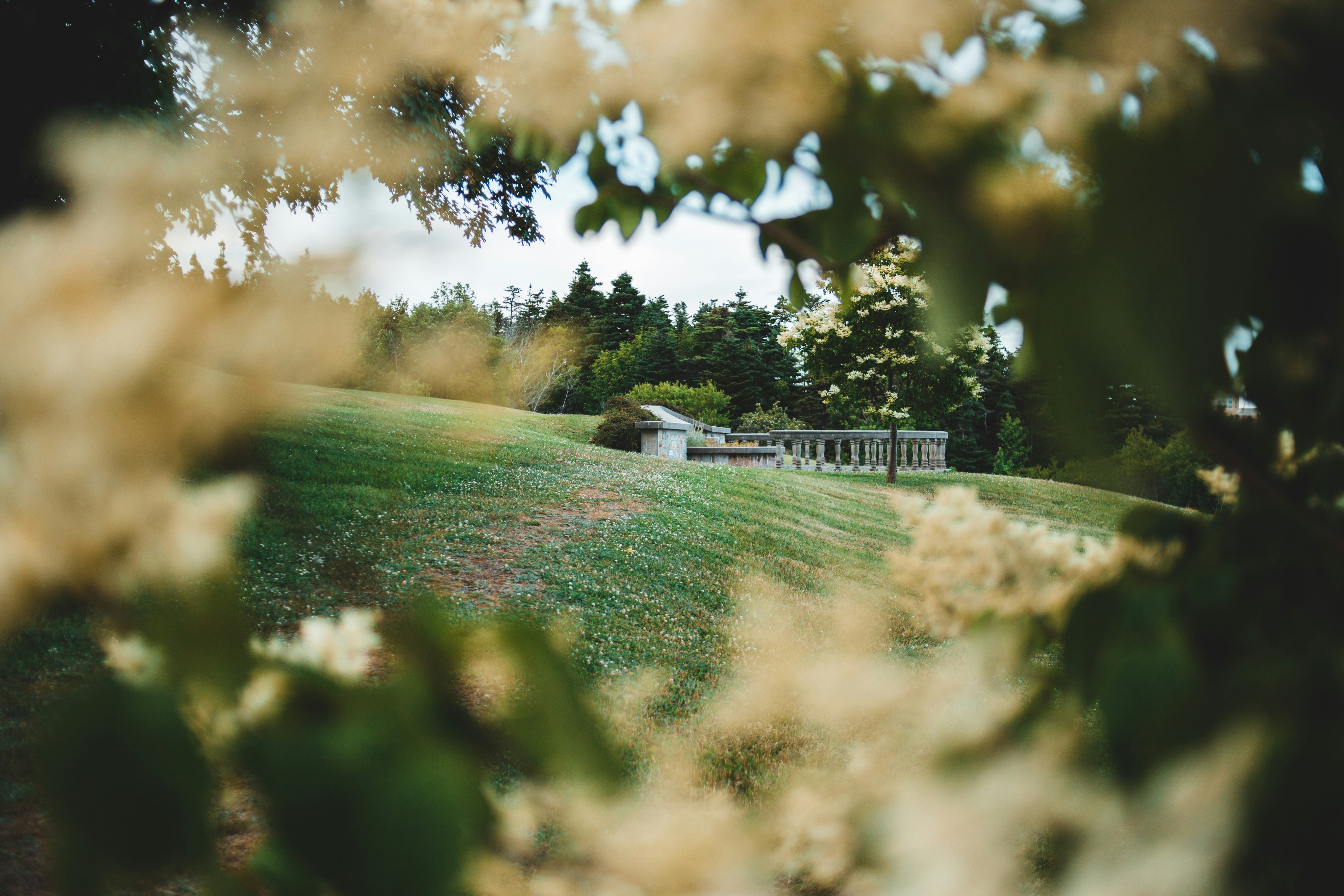 Photo by introspectivedsgn