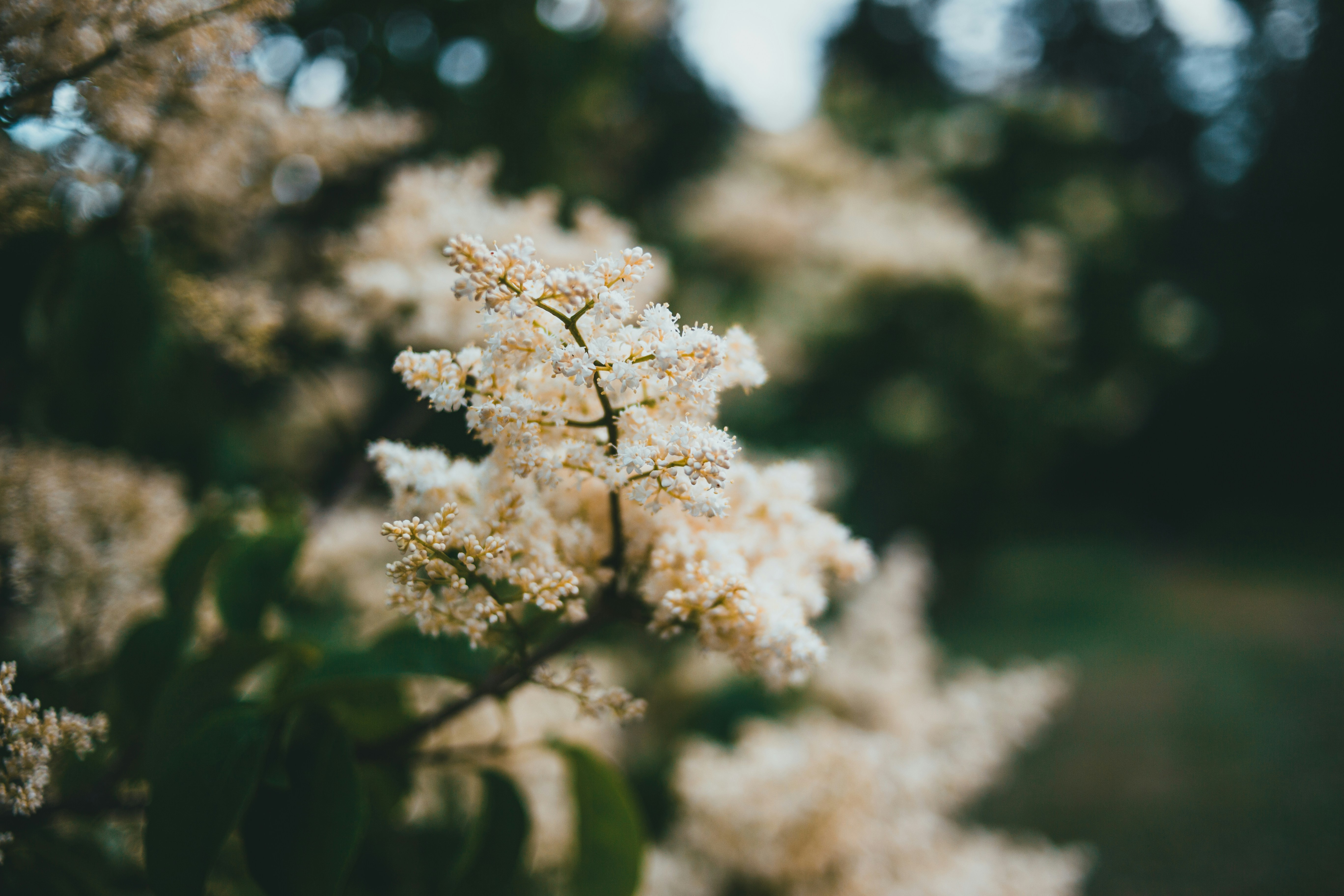 Photo by introspectivedsgn