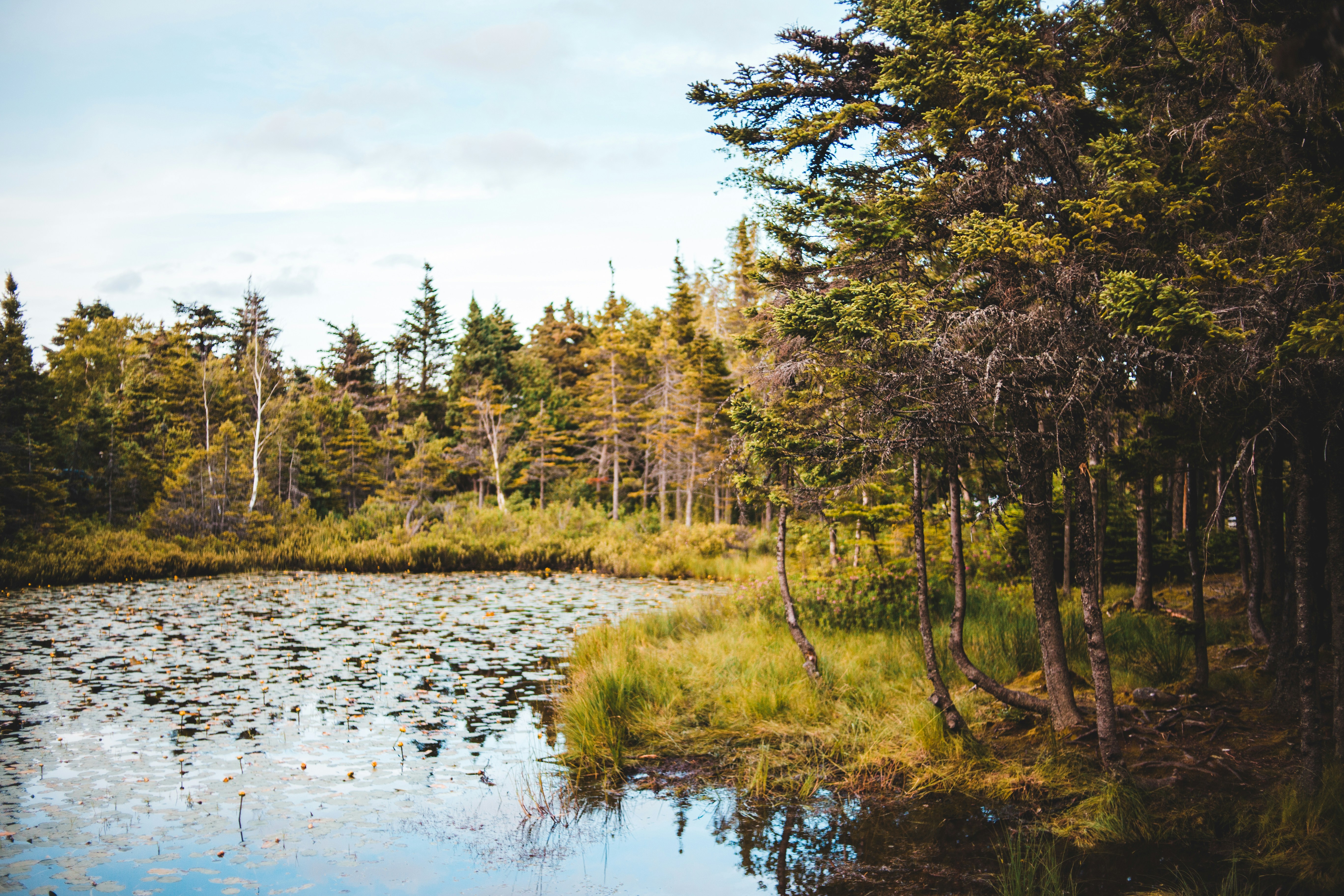 Photo by introspectivedsgn