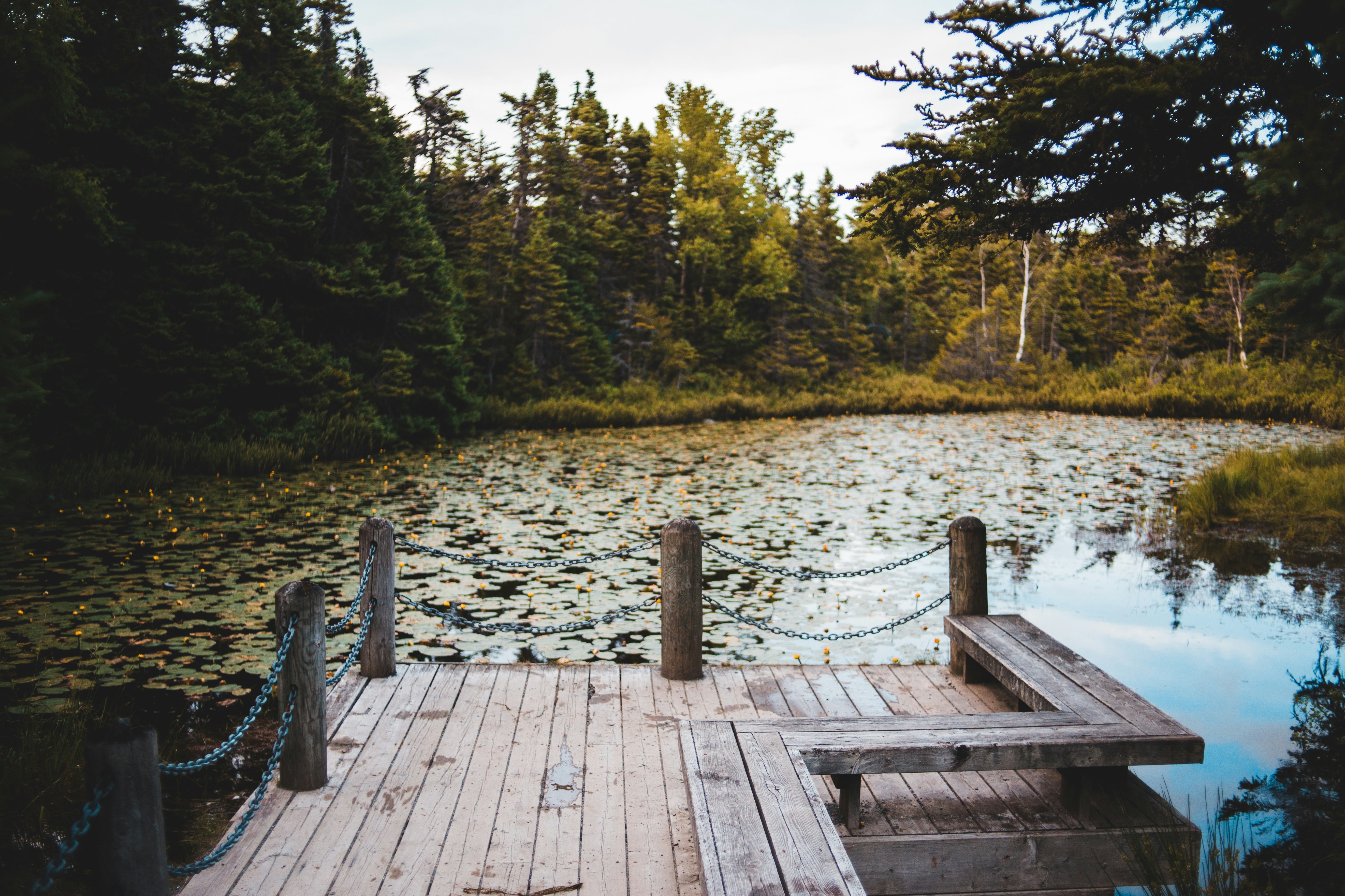 Photo by introspectivedsgn
