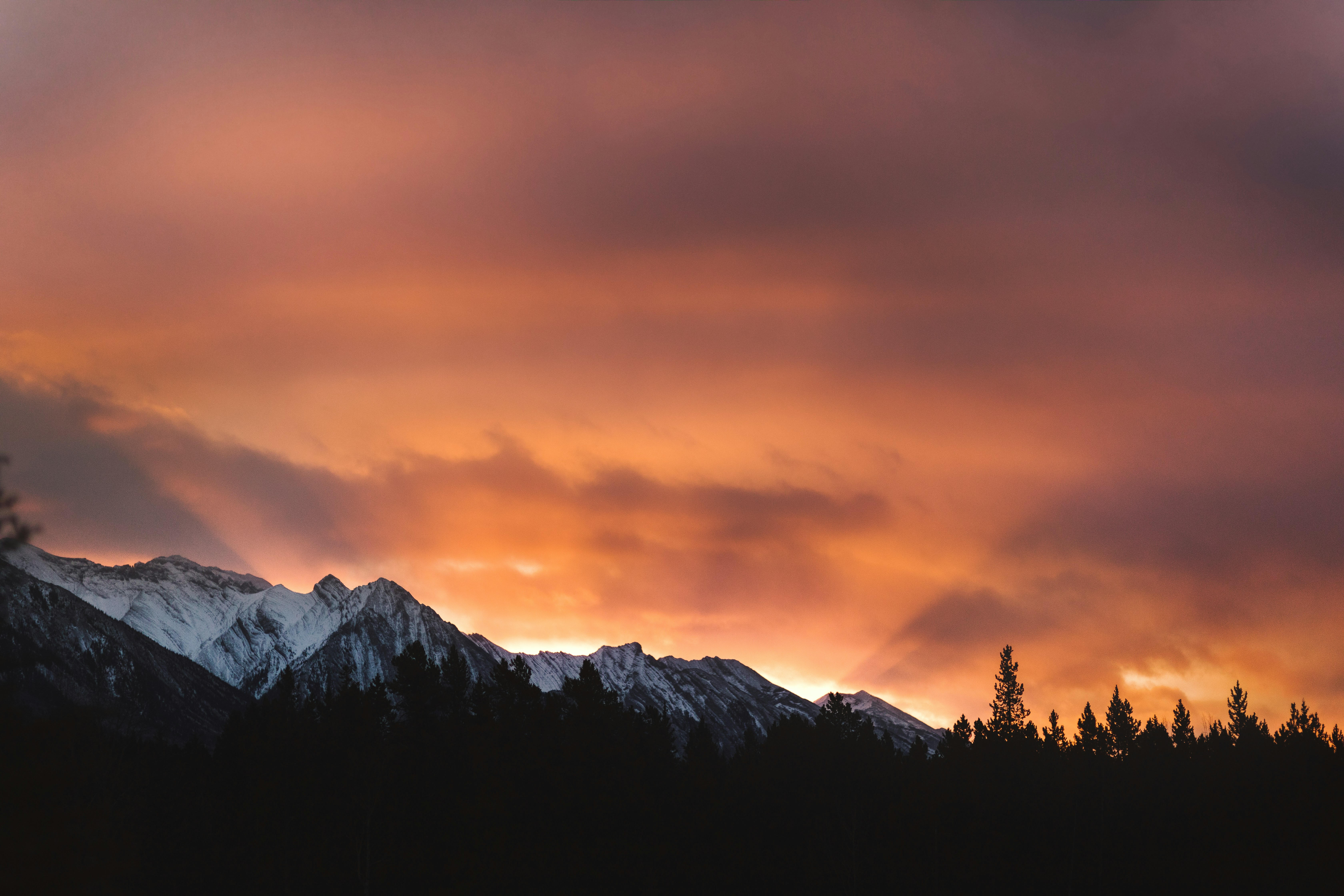silhouette of trees and mountains during sunset