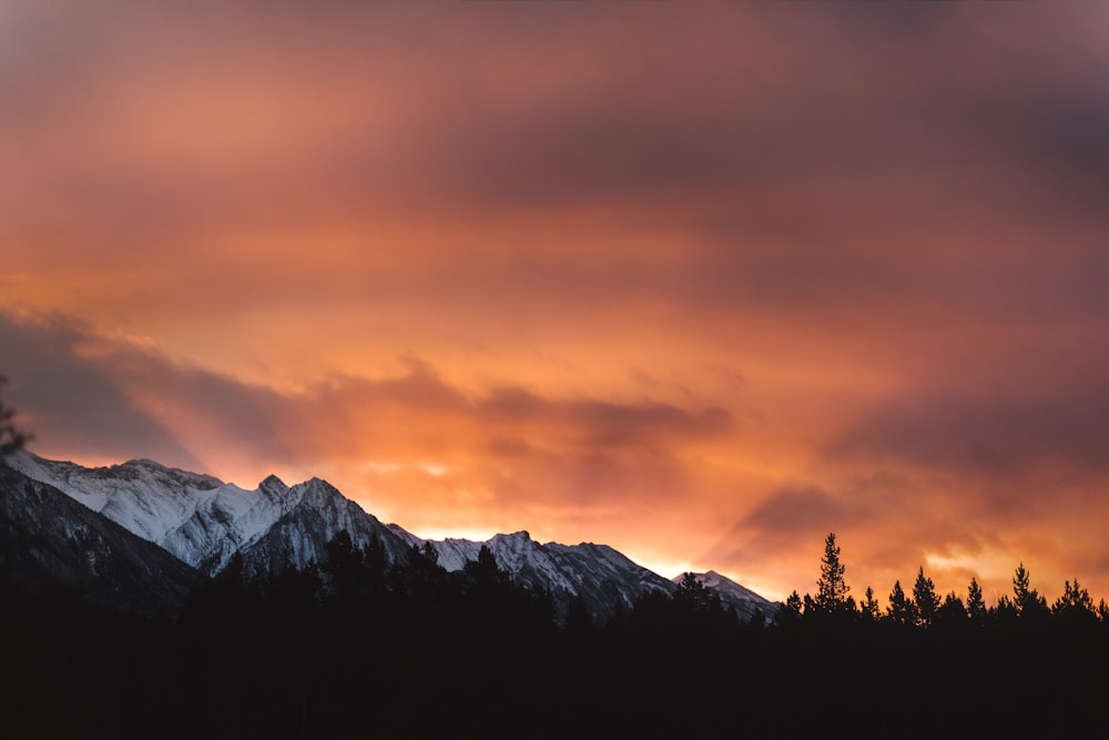 silhouette di alberi e montagne durante il tramonto