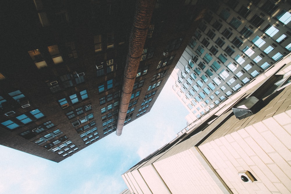 white and blue concrete building