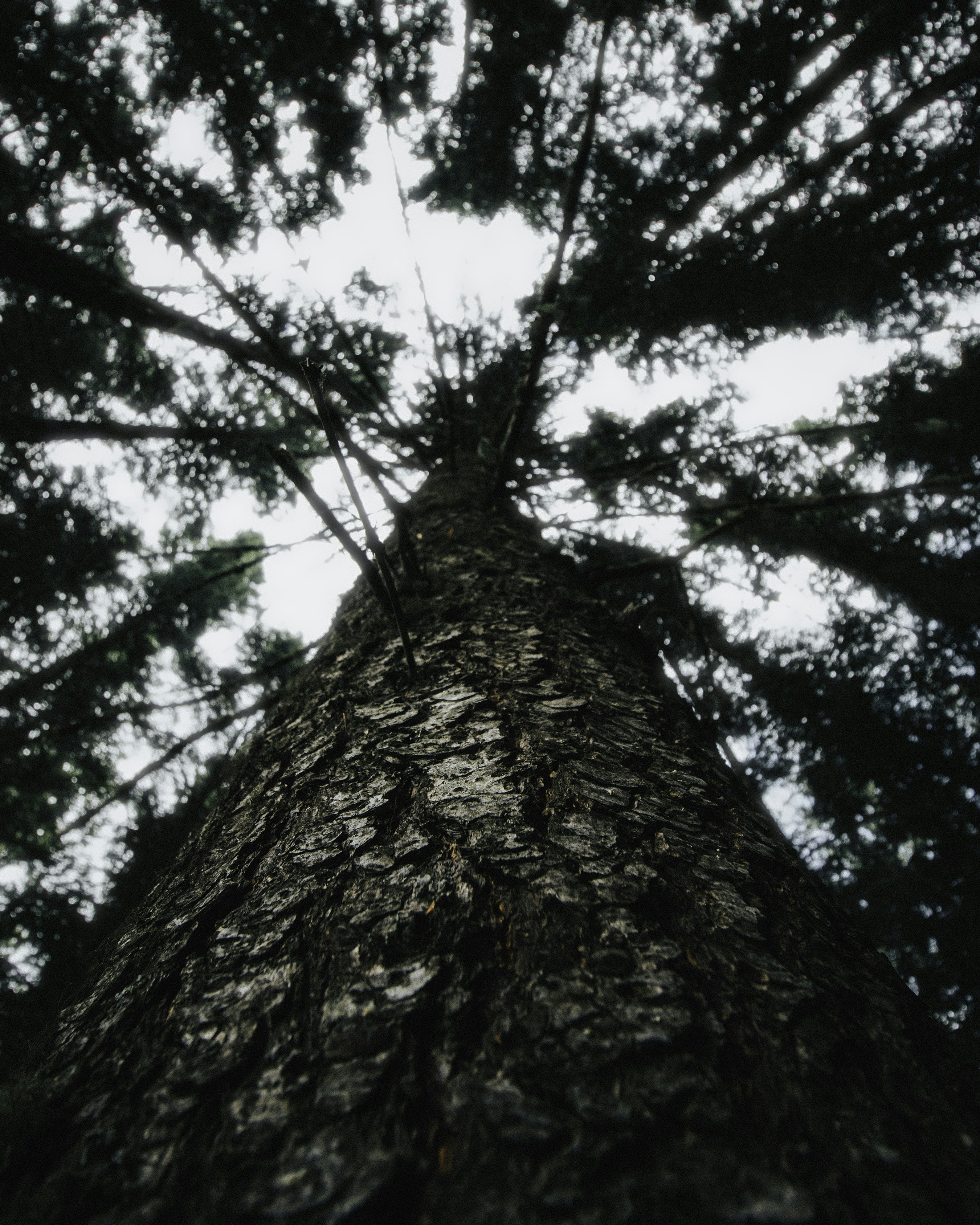 Photo by harsh_singh_c