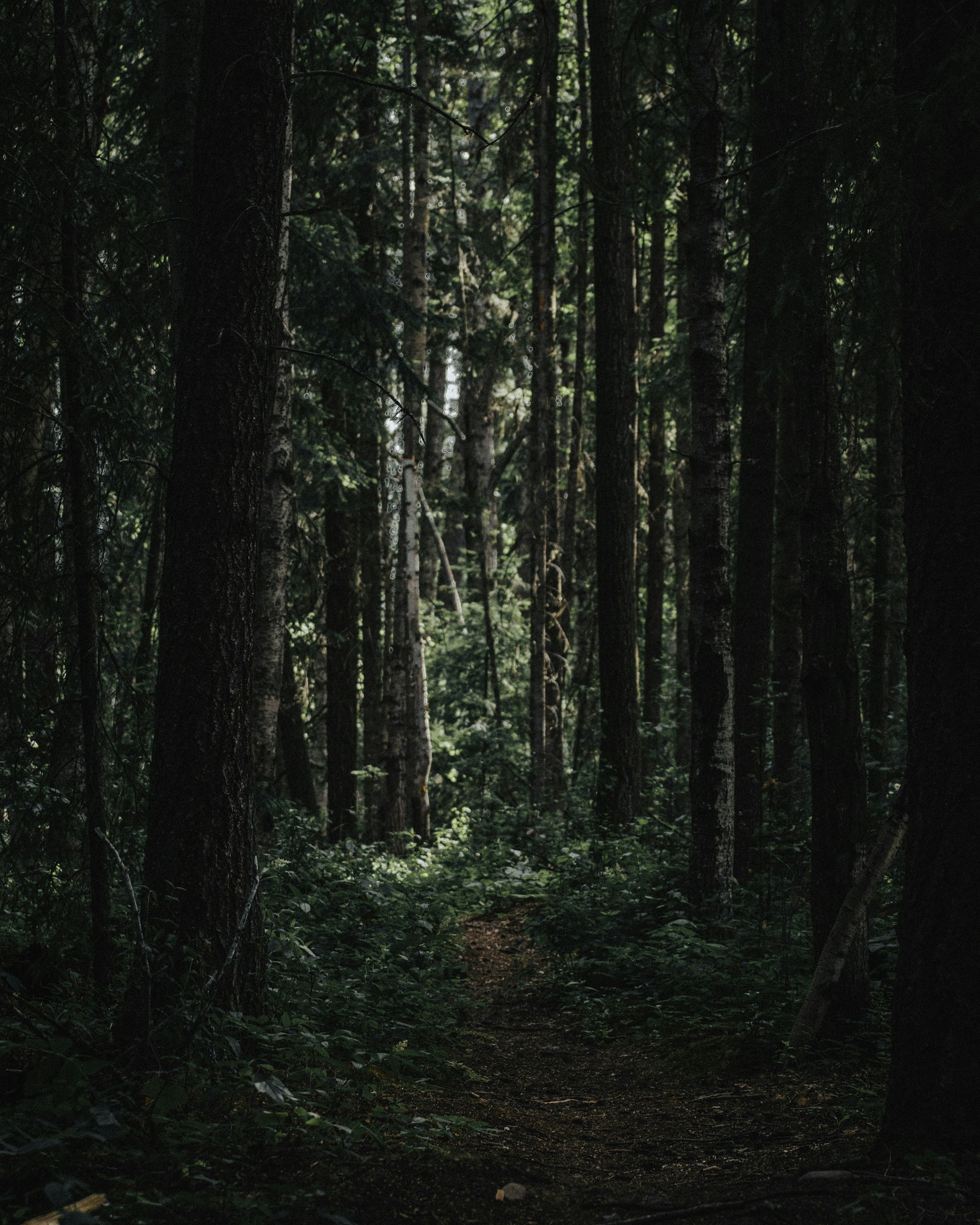 Photo by harsh_singh_c