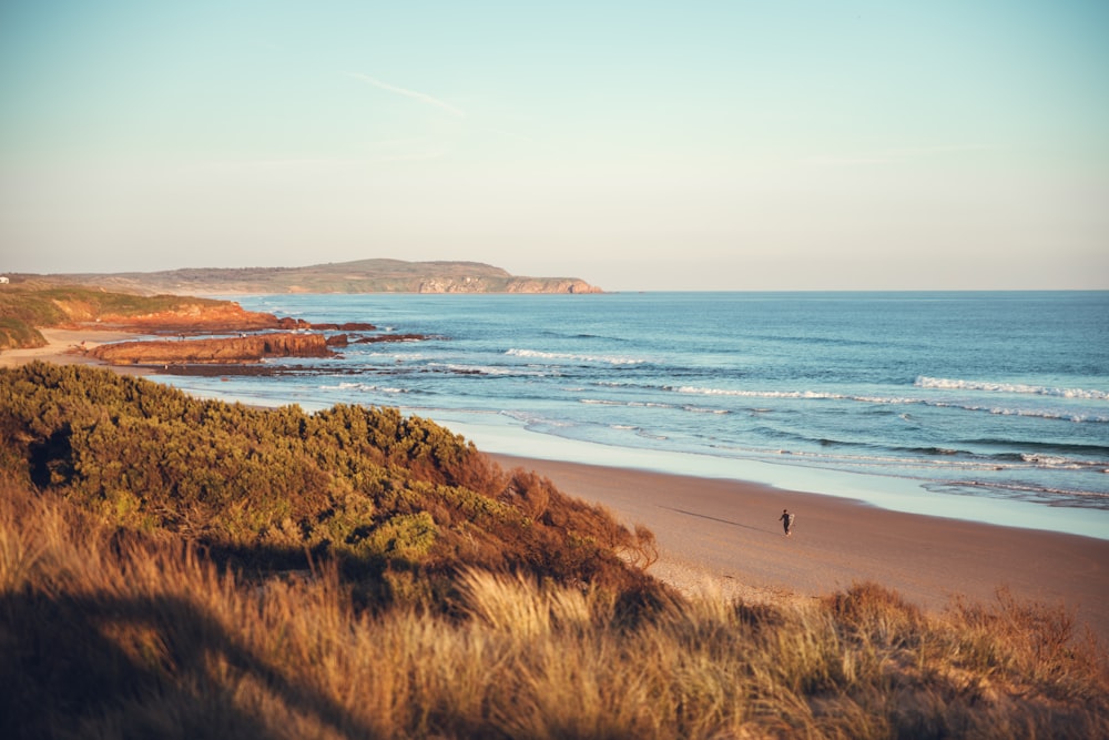 people walking on beach shore during daytime