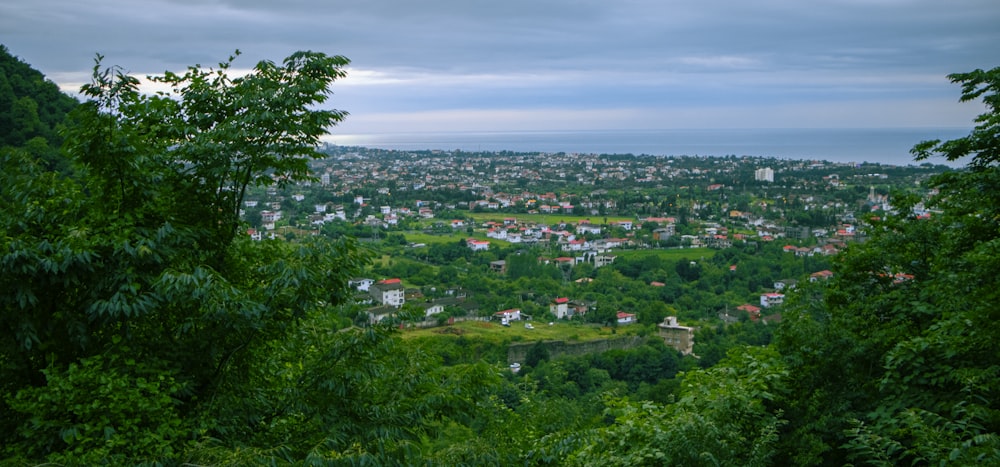 green trees and houses under white clouds during daytime