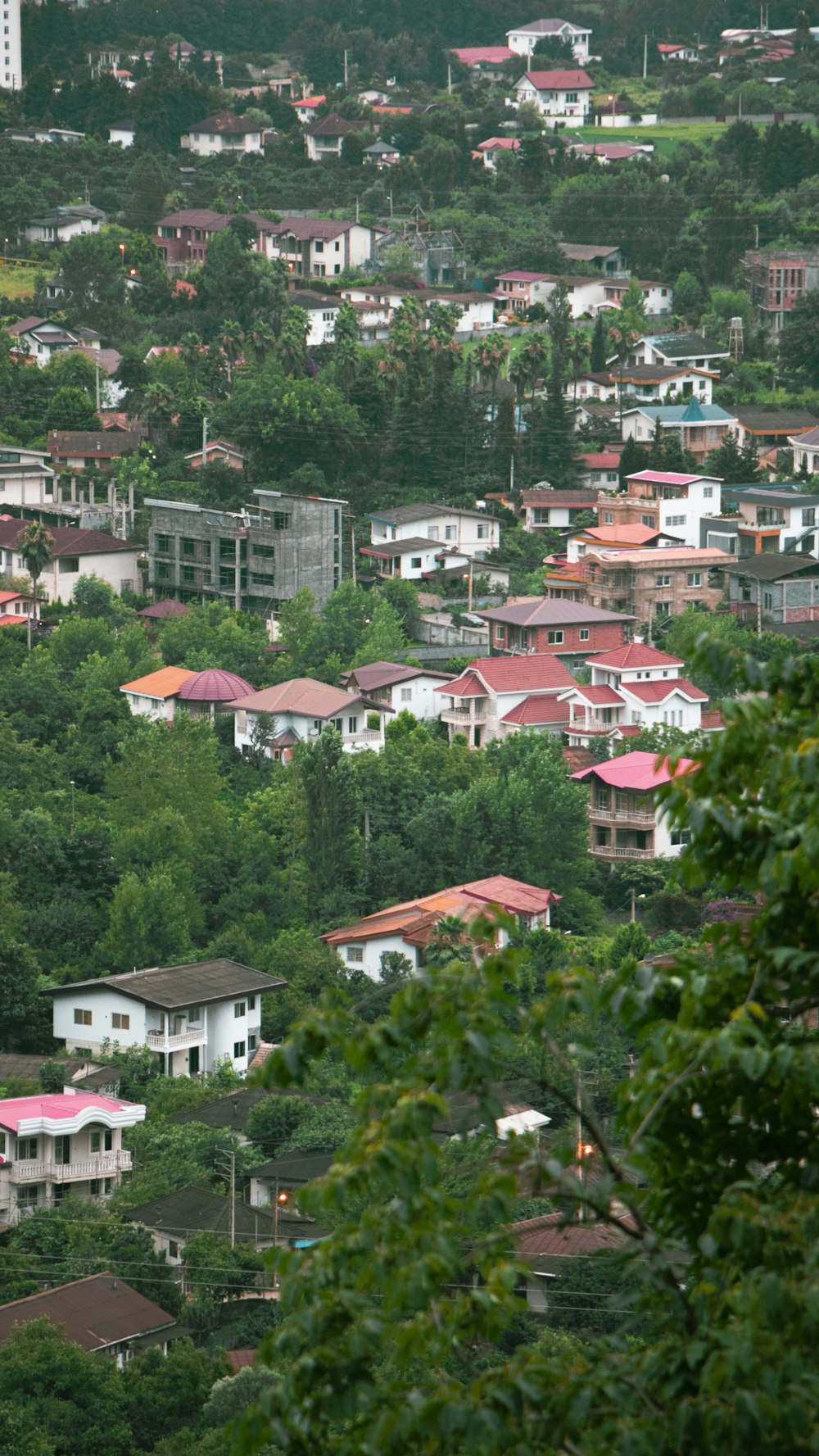 white and brown houses near green trees during daytime