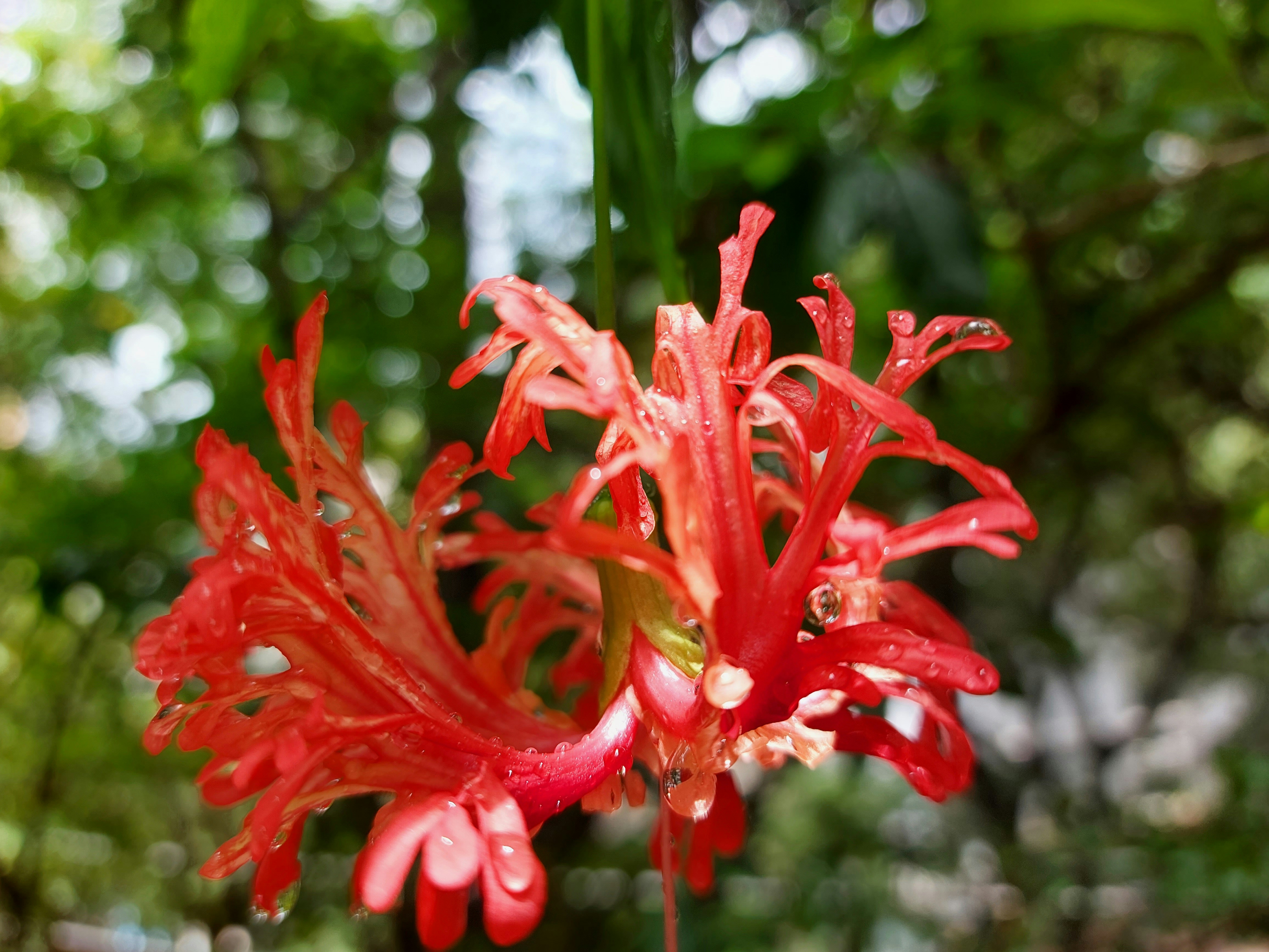 Photo by itcolleague