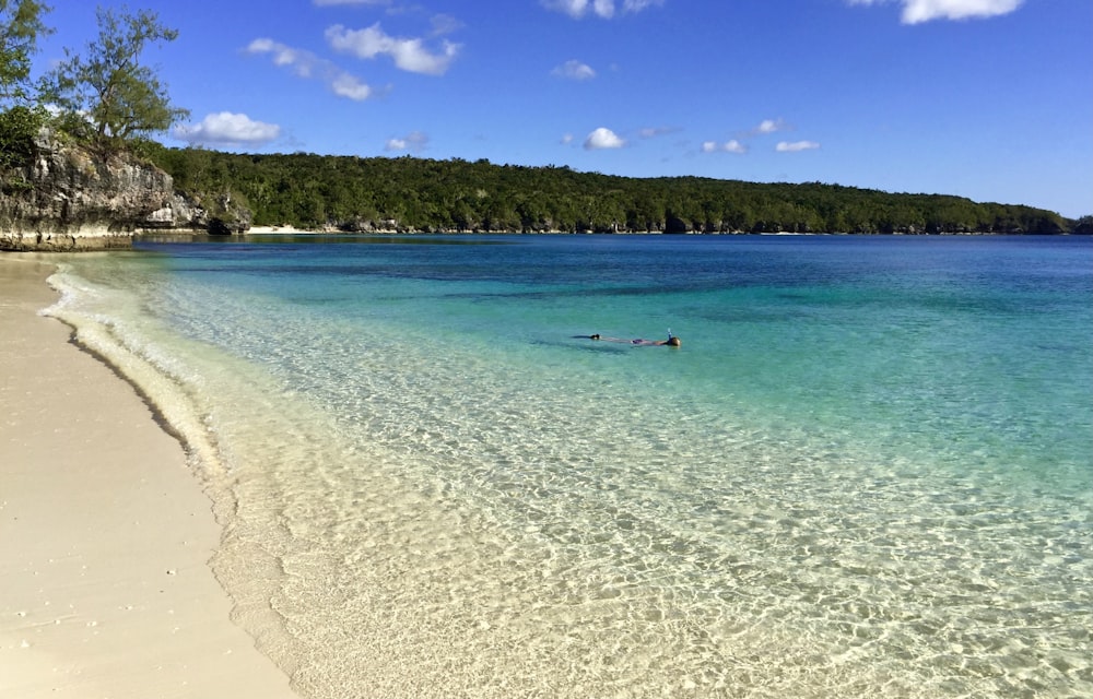 people swimming on beach during daytime