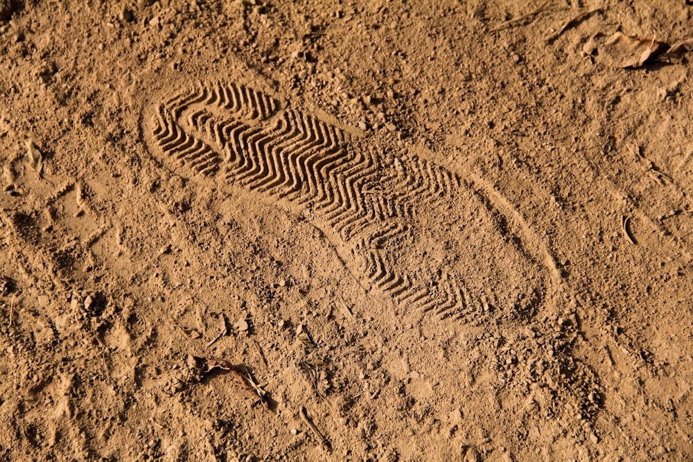 brown sand with black and white stripe