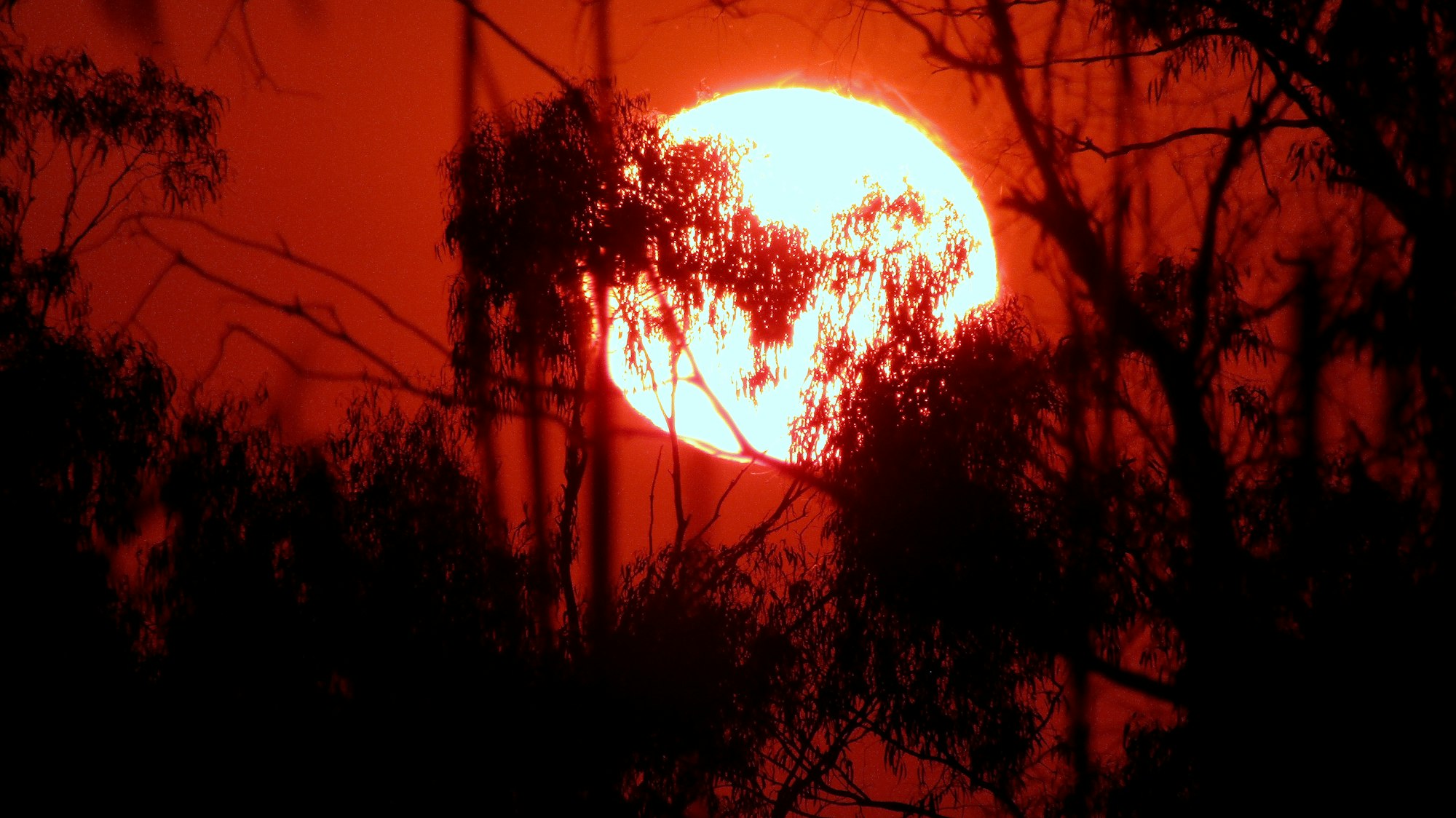 Deadly heatwaves threaten to reverse India’s progress on poverty and inequality – new research