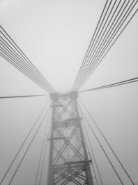 A close-up photo of the Moscow bridge cables in misty morning light symbolizing strong connections.
