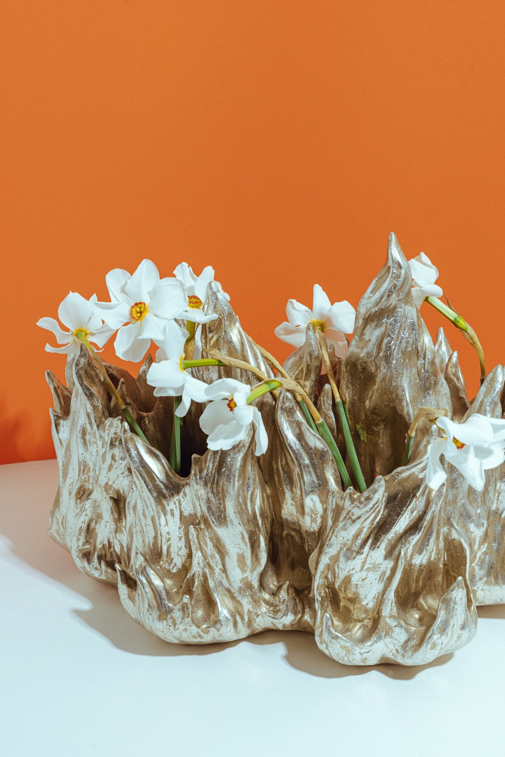 white flowers on gray rock