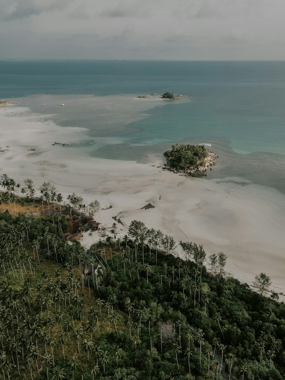 herbe verte sur le rivage de la plage pendant la journée