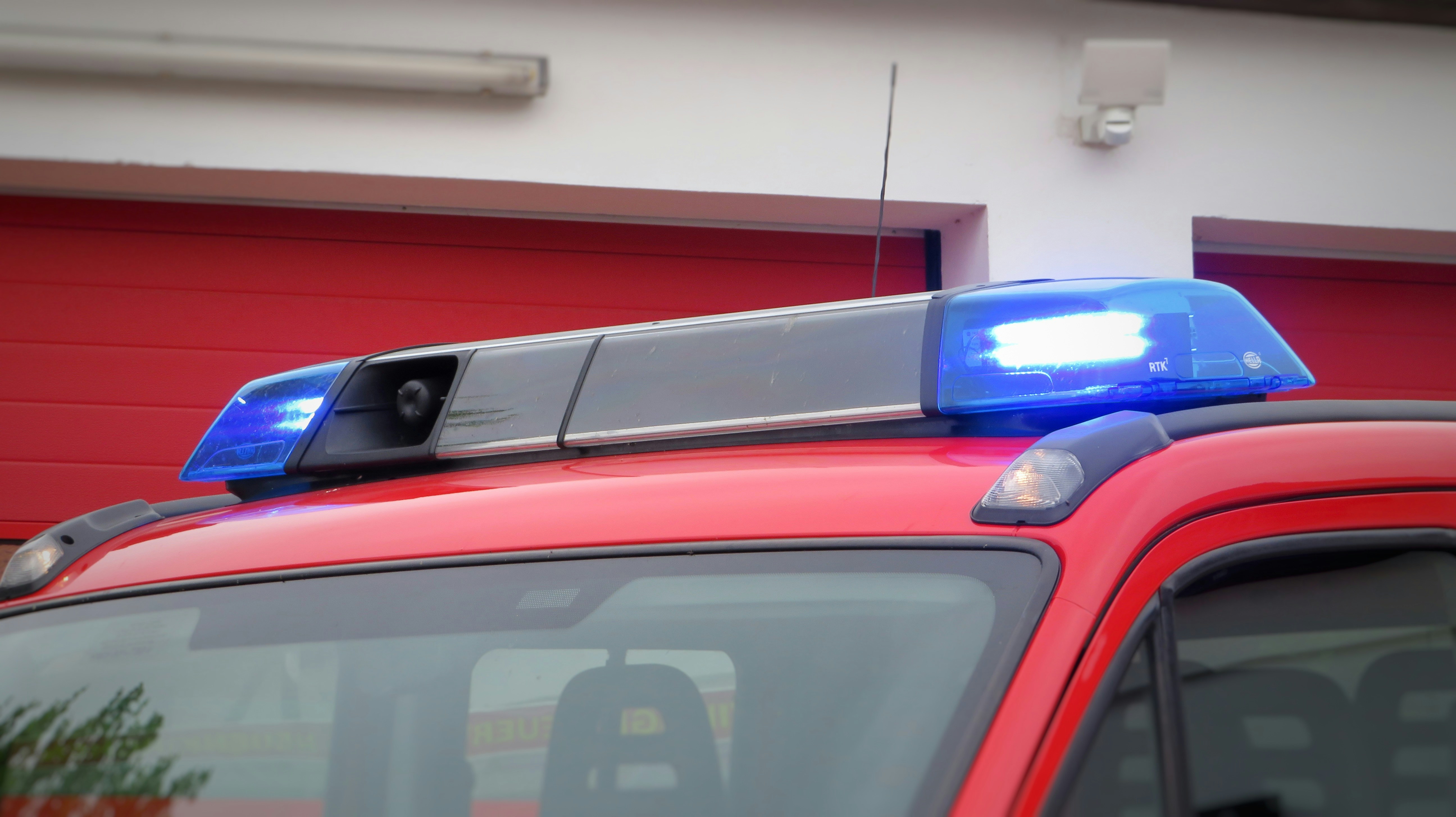 Photo by augustinfoto