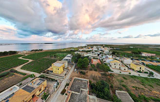aerial view of city during daytime