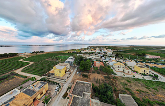 aerial view of city during daytime