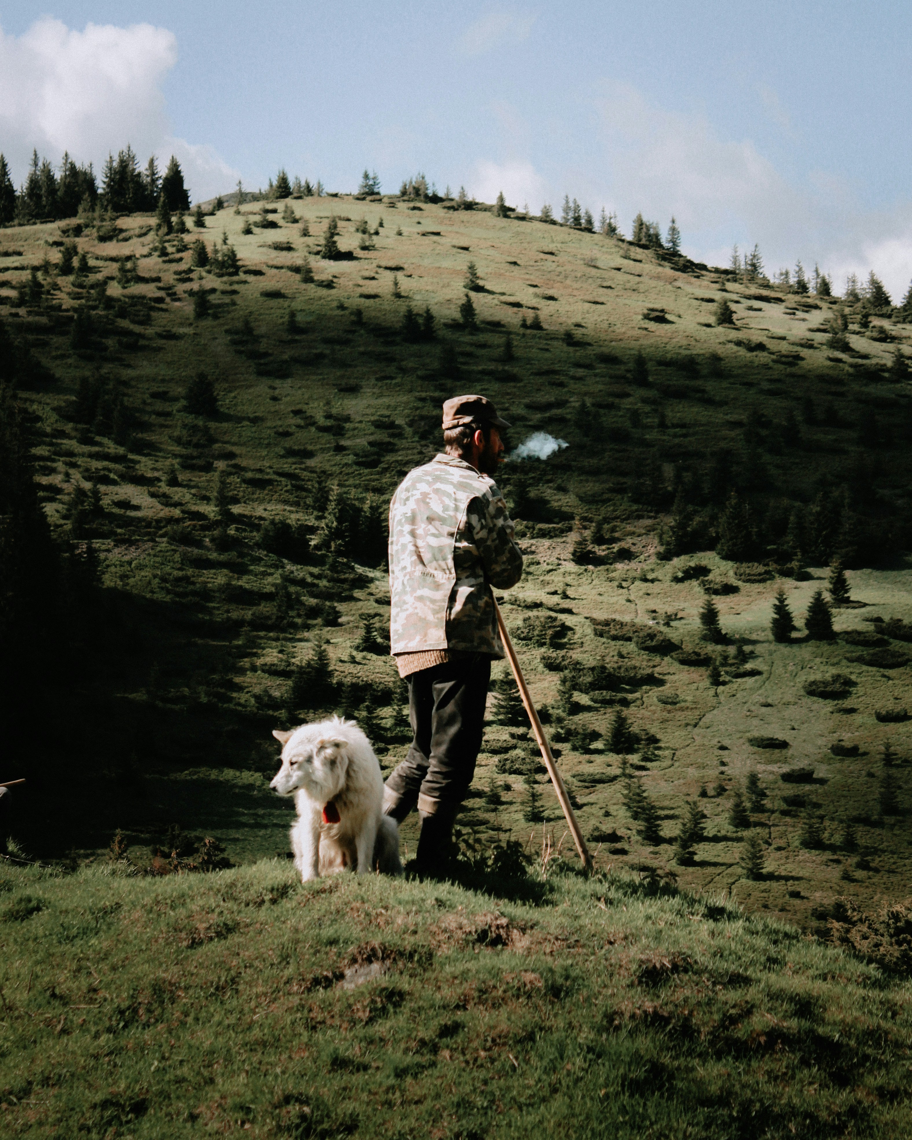 Photo by taraskots