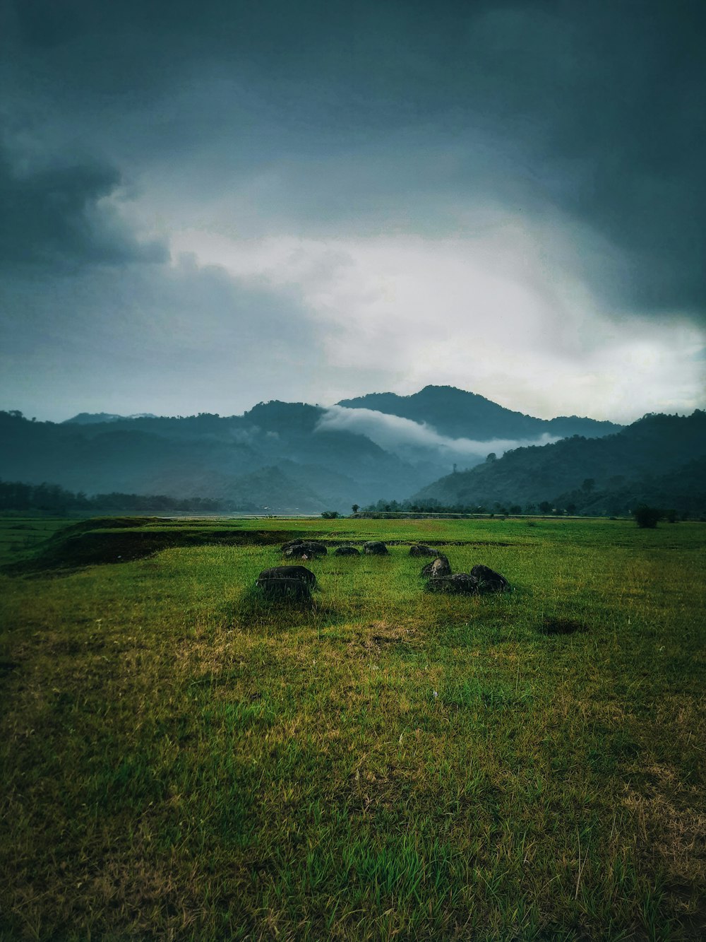 green grass field near mountain under cloudy sky during daytime