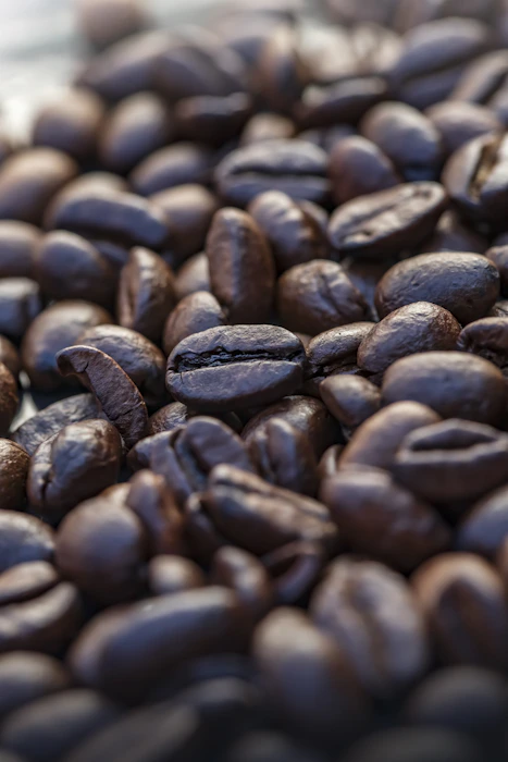 Latitude Blend