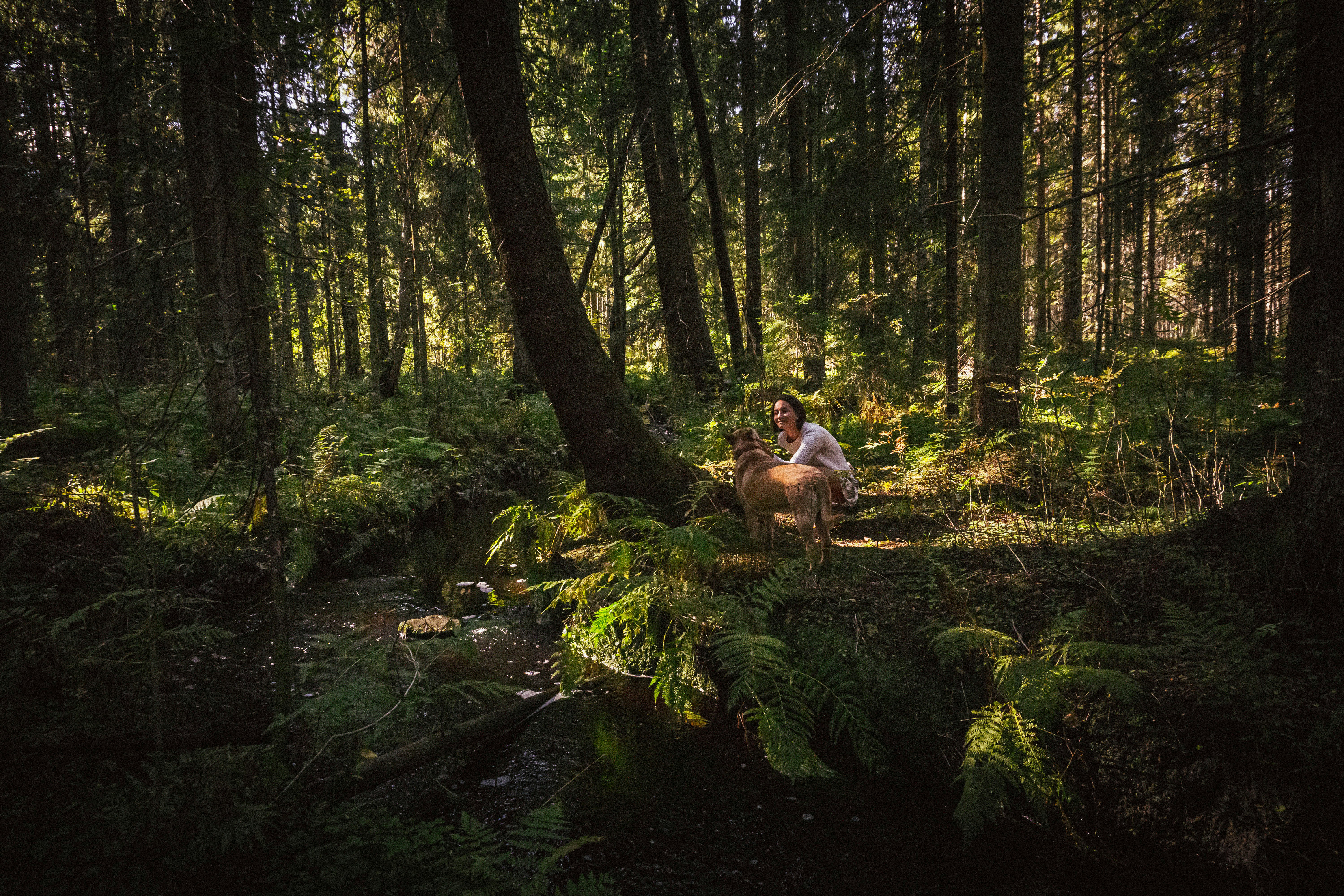 Photo by anainsomnia