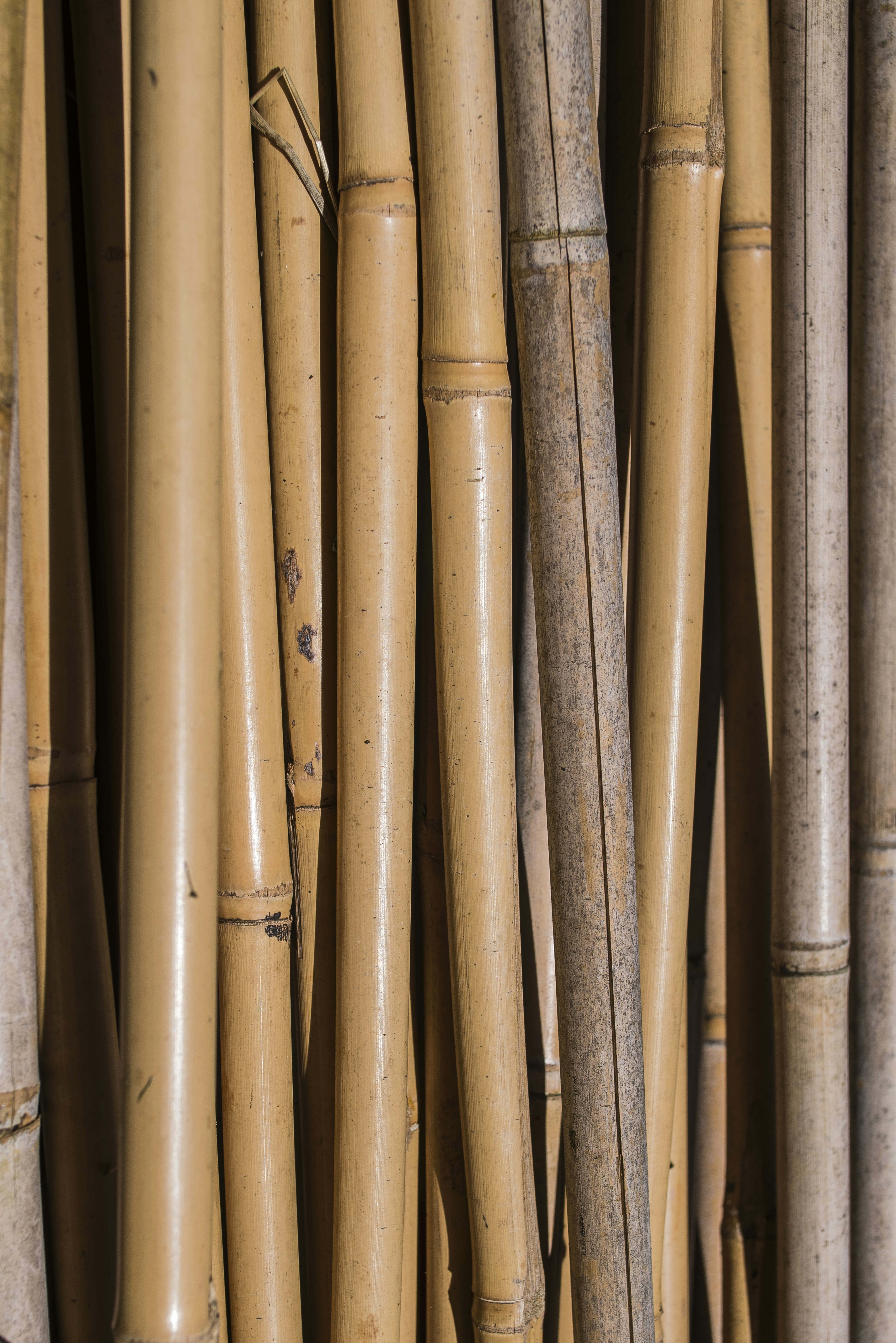 Curated Gift Bundles for Creatives: Capsule Merch & Packaging Strategies That Sell in 2026