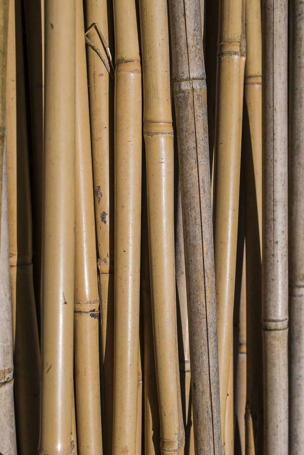 brown wooden sticks on brown wooden surface